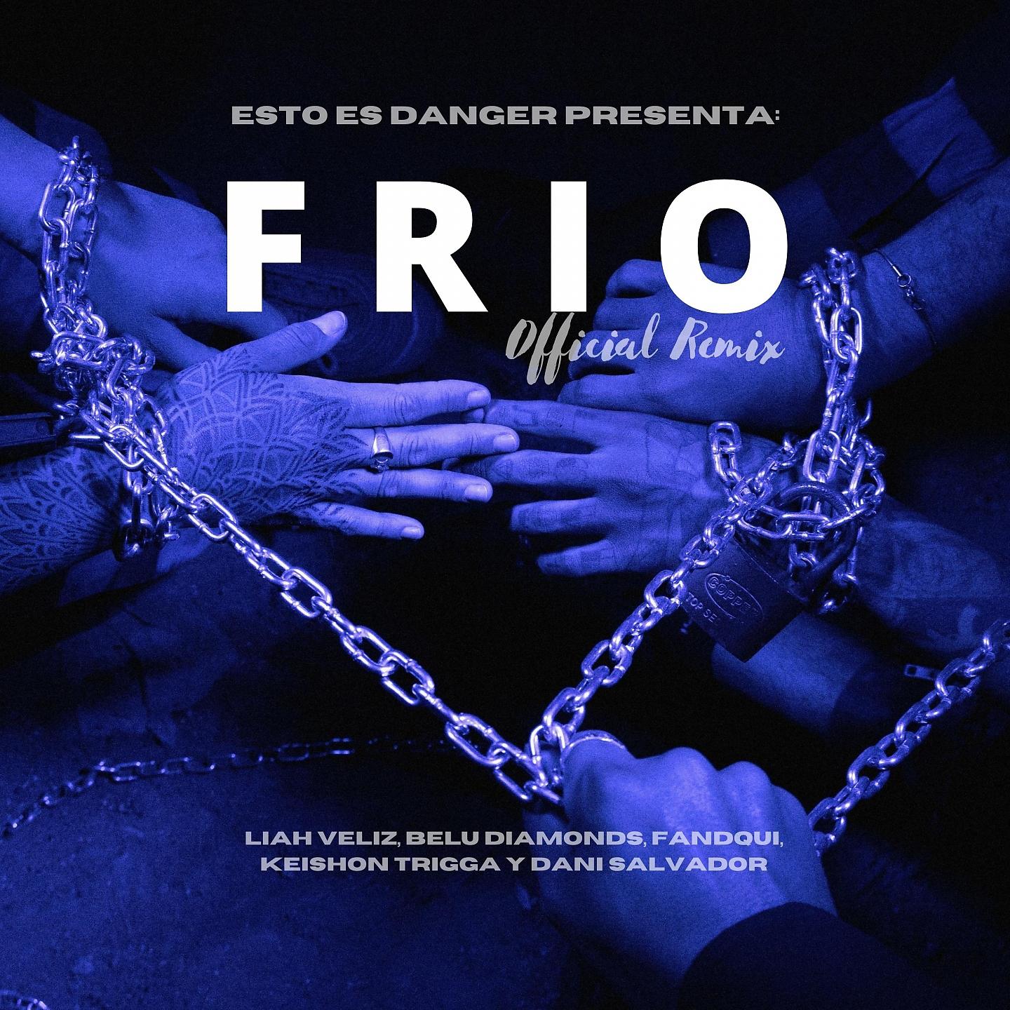 Постер альбома Frio Remix