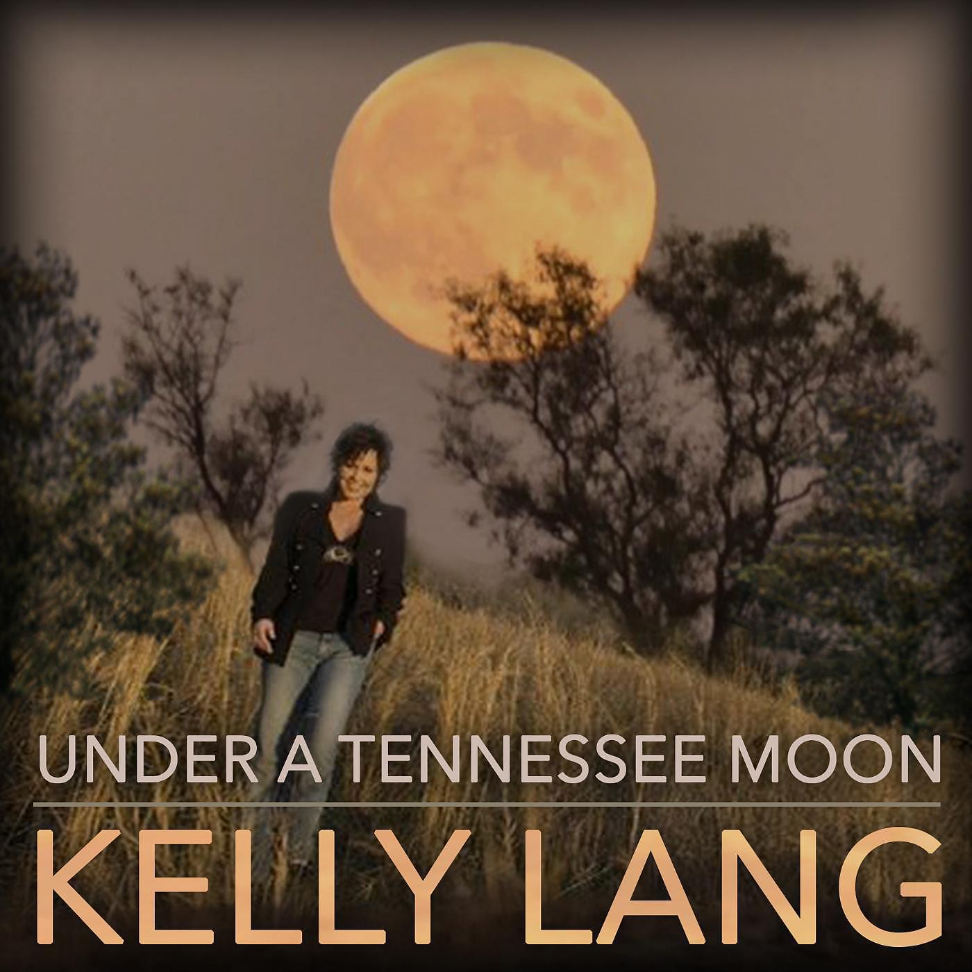 Постер альбома Under a Tennessee Moon