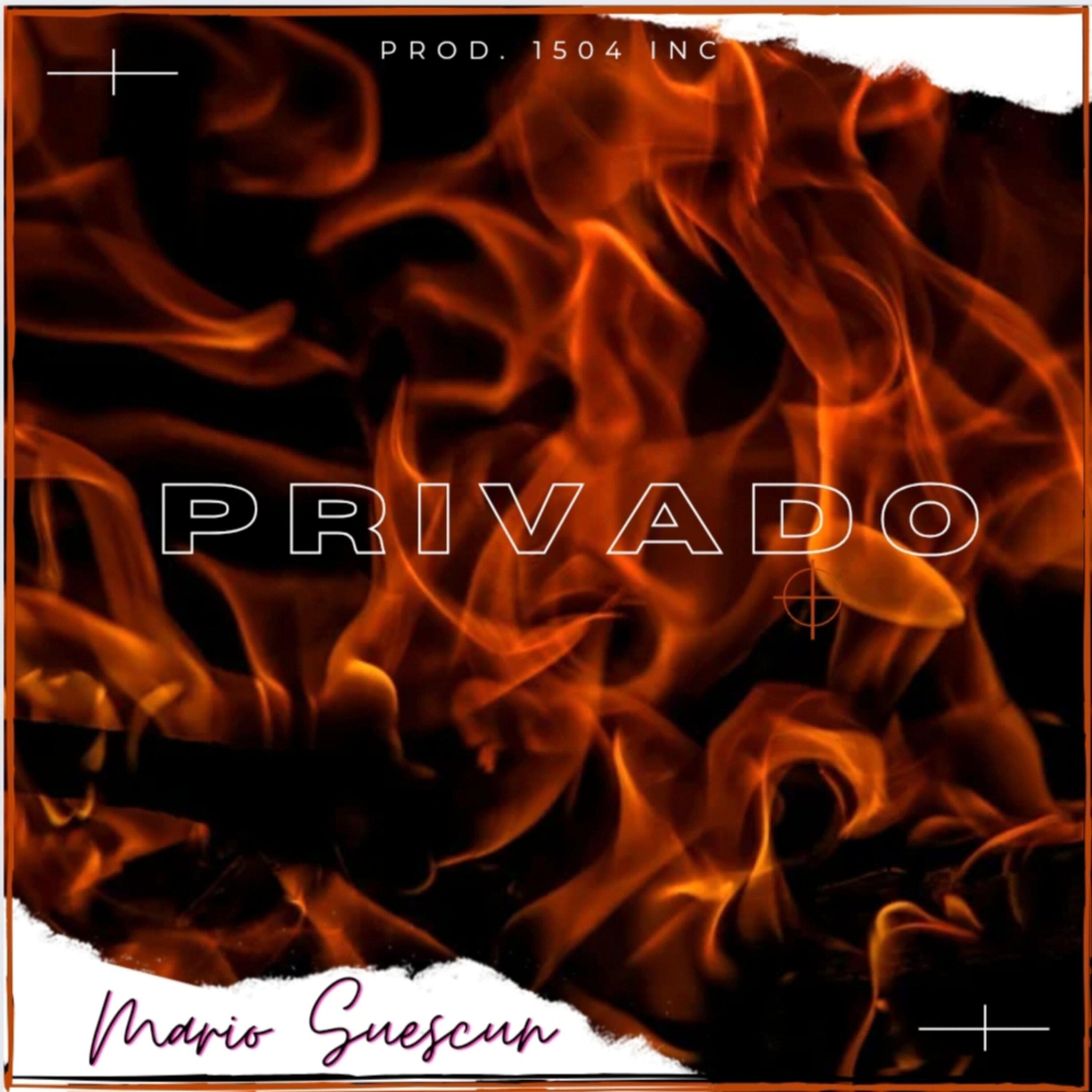 Постер альбома Privado