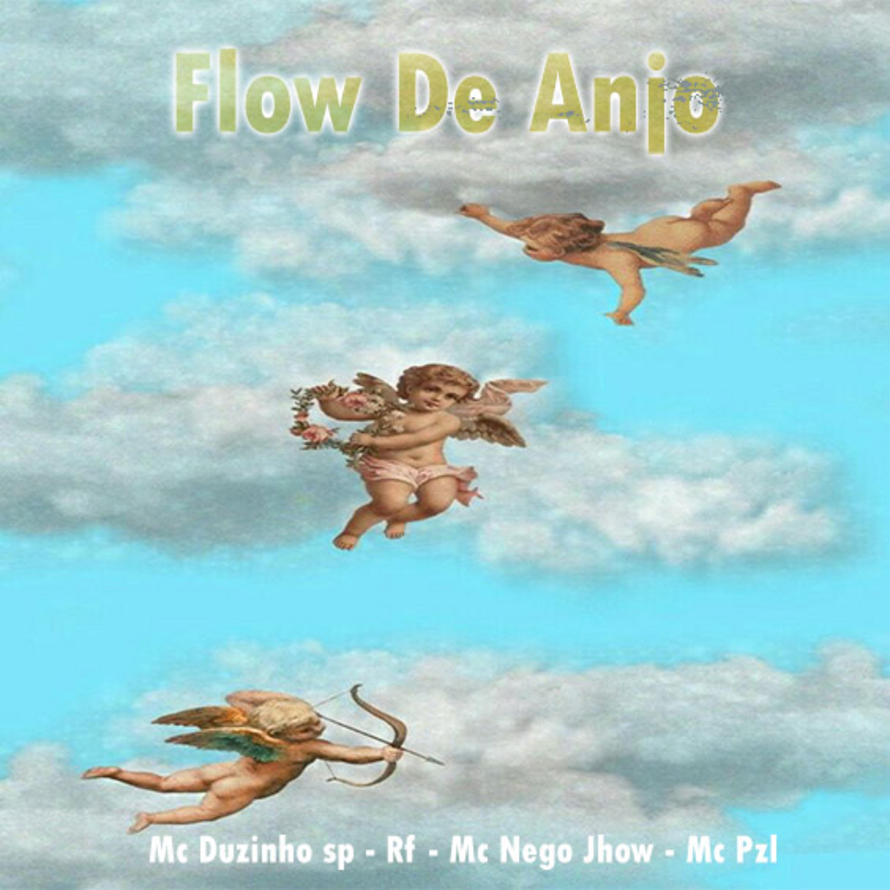 Постер альбома Flow de Anjo