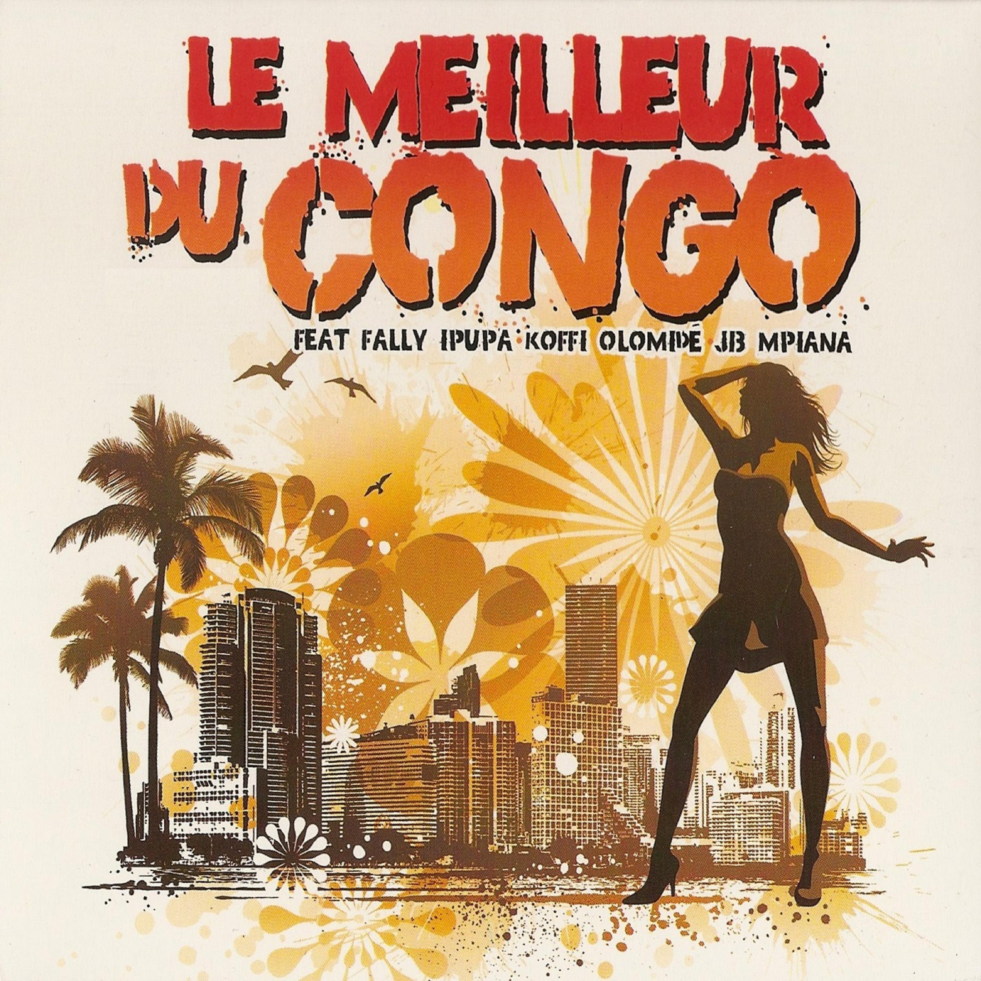Постер альбома Le meilleur du Congo