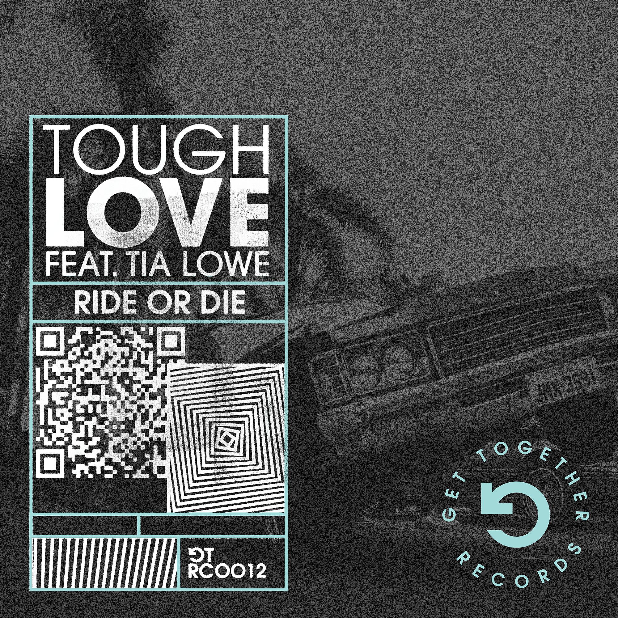 Постер альбома Ride Or Die (feat. Tia Lowe) [Dub Mix]