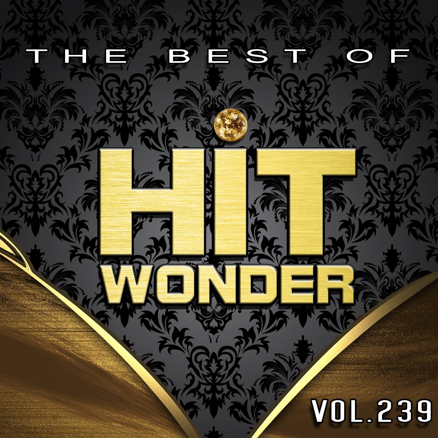 Постер альбома Hit Wonder: The Best of, Vol. 239