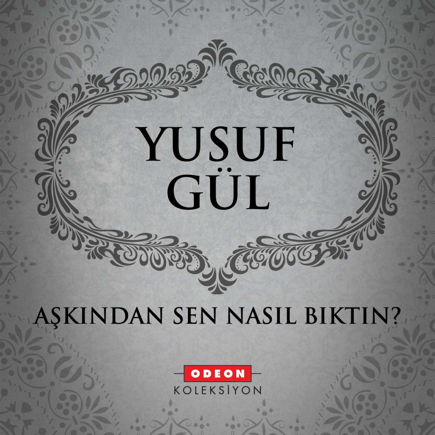 Постер альбома Aşkından Sen Nasıl Bıktın
