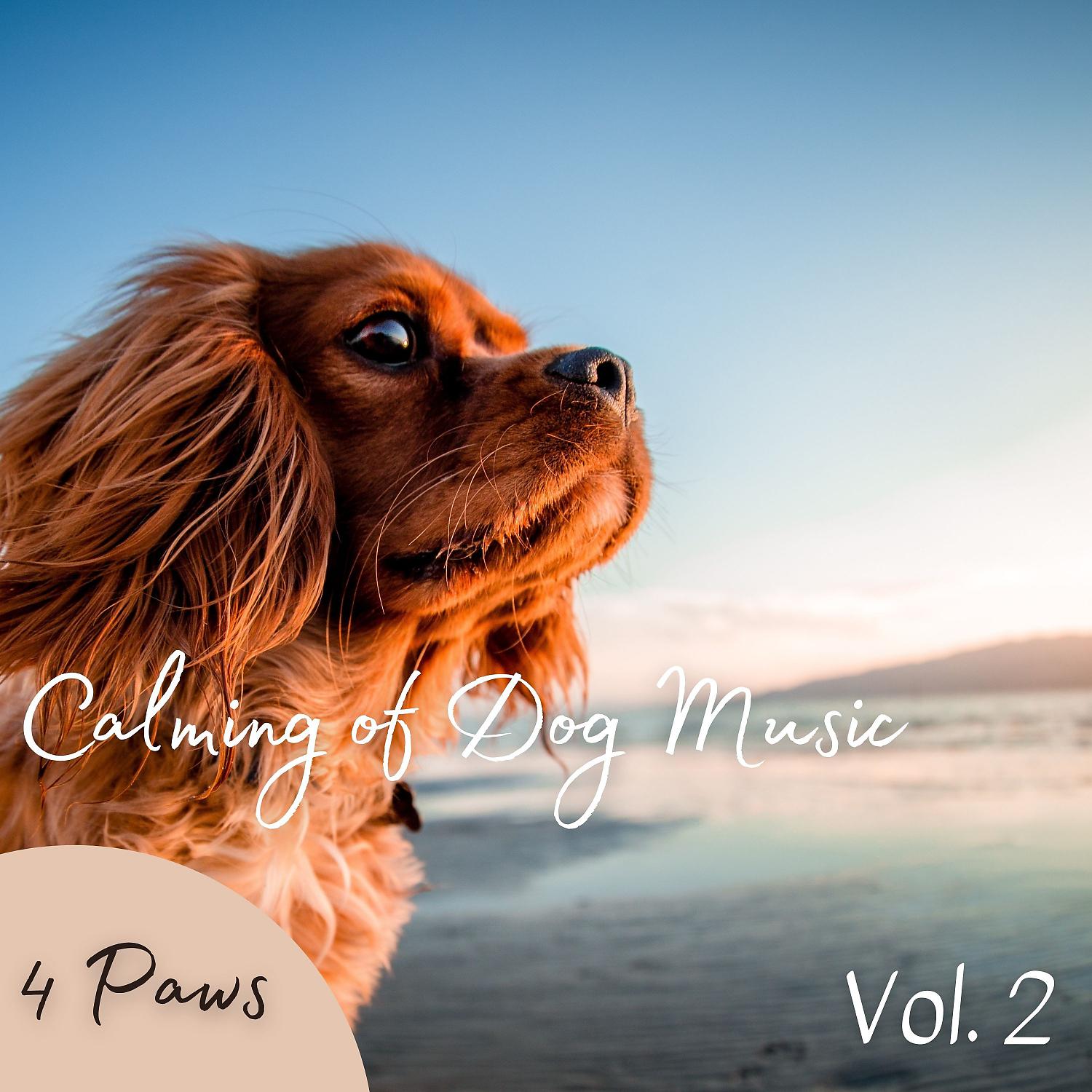 Постер альбома 4 Paws: Calming of Dog Music Vol. 2