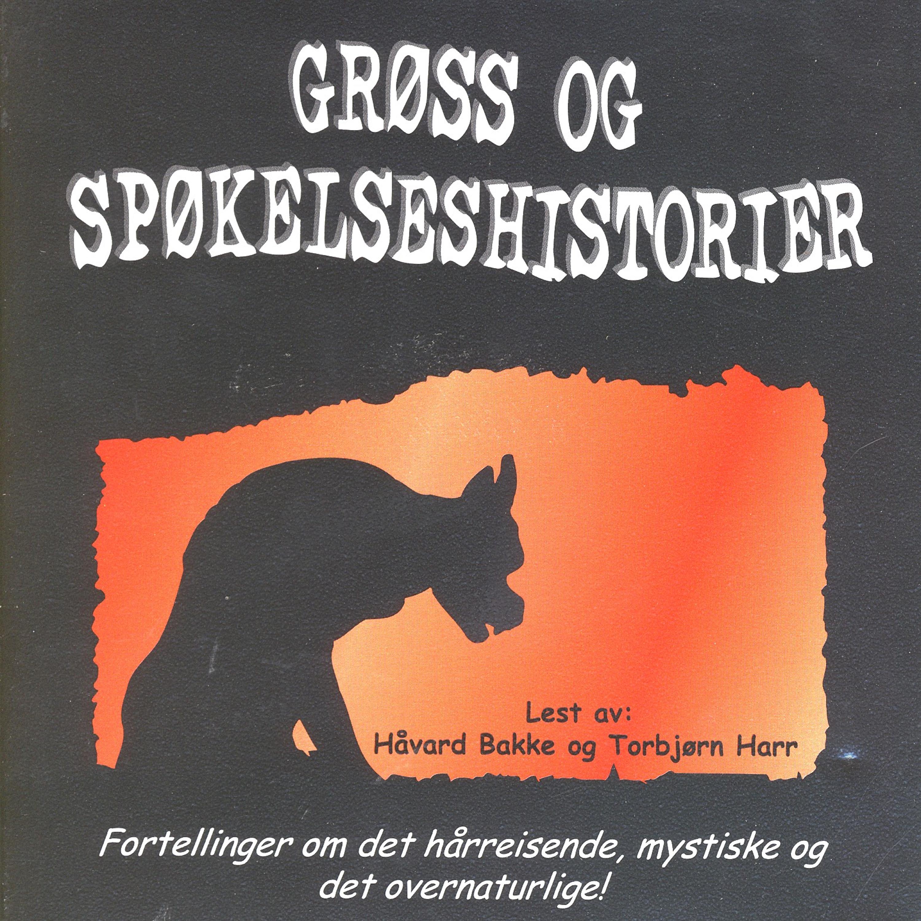 Постер альбома Grøss Og Spøkelseshistorier