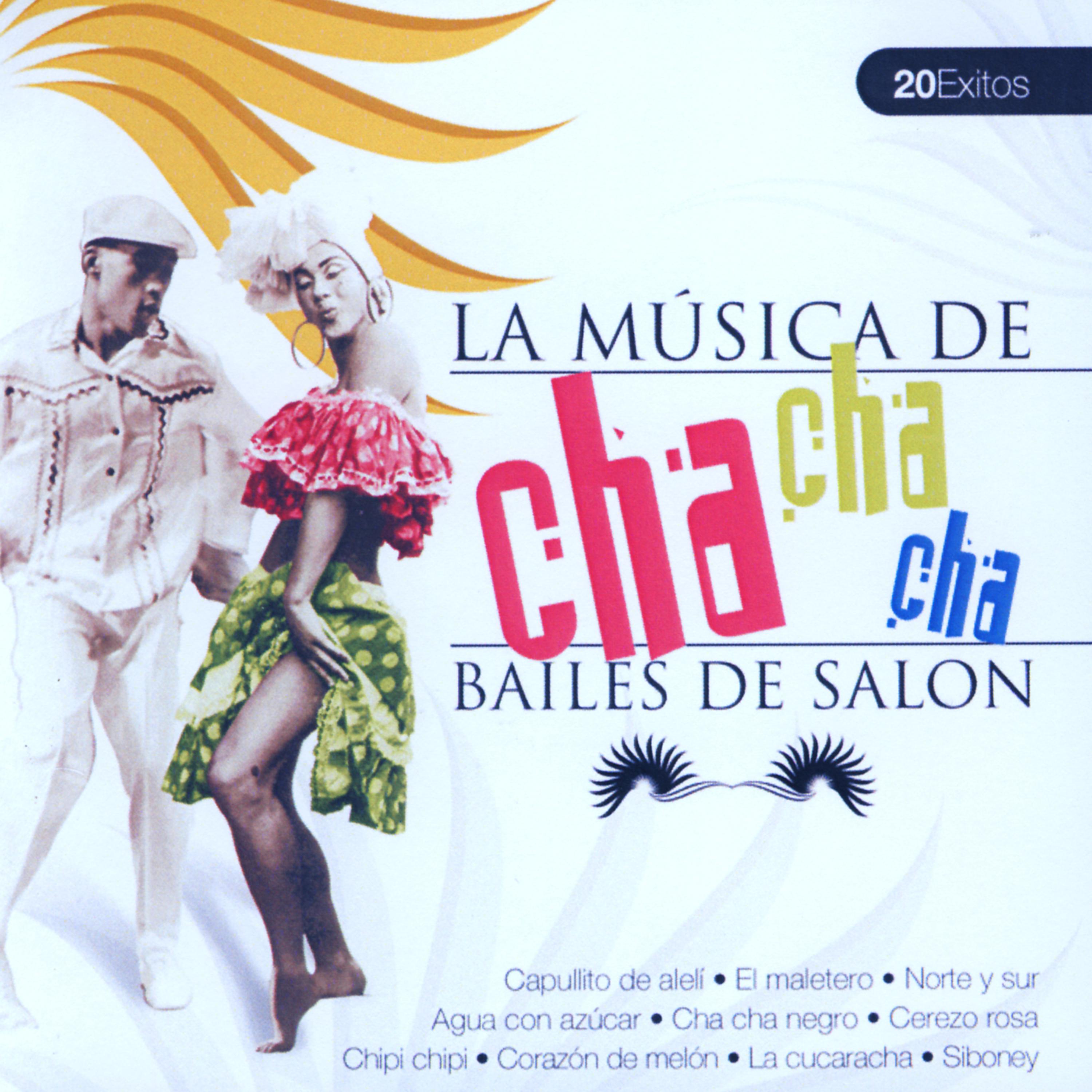 Постер альбома Bailes de Salón Cha Cha Cha  (Ballroom Dance Cha Cha Cha)