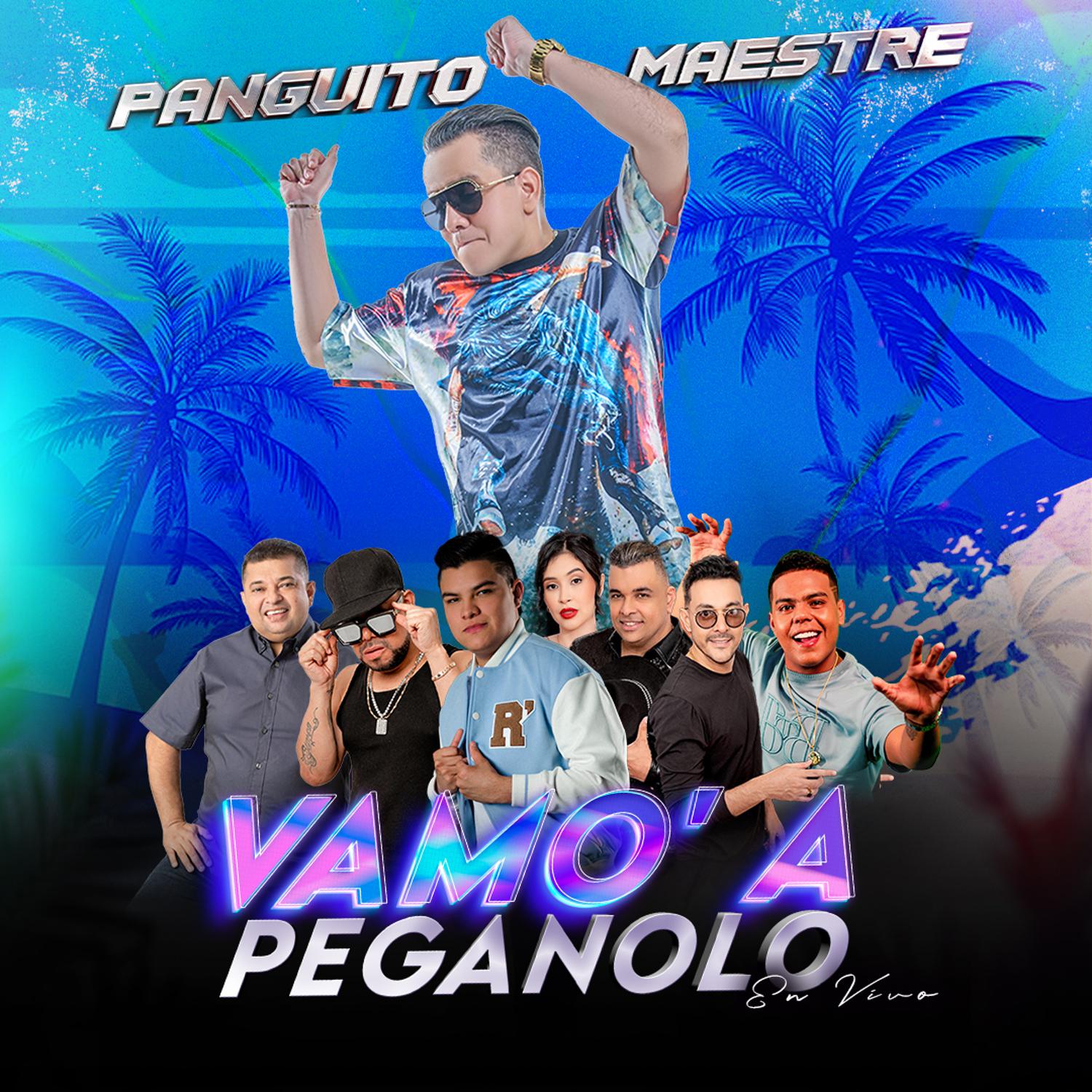Постер альбома Vamo' A Peganolo