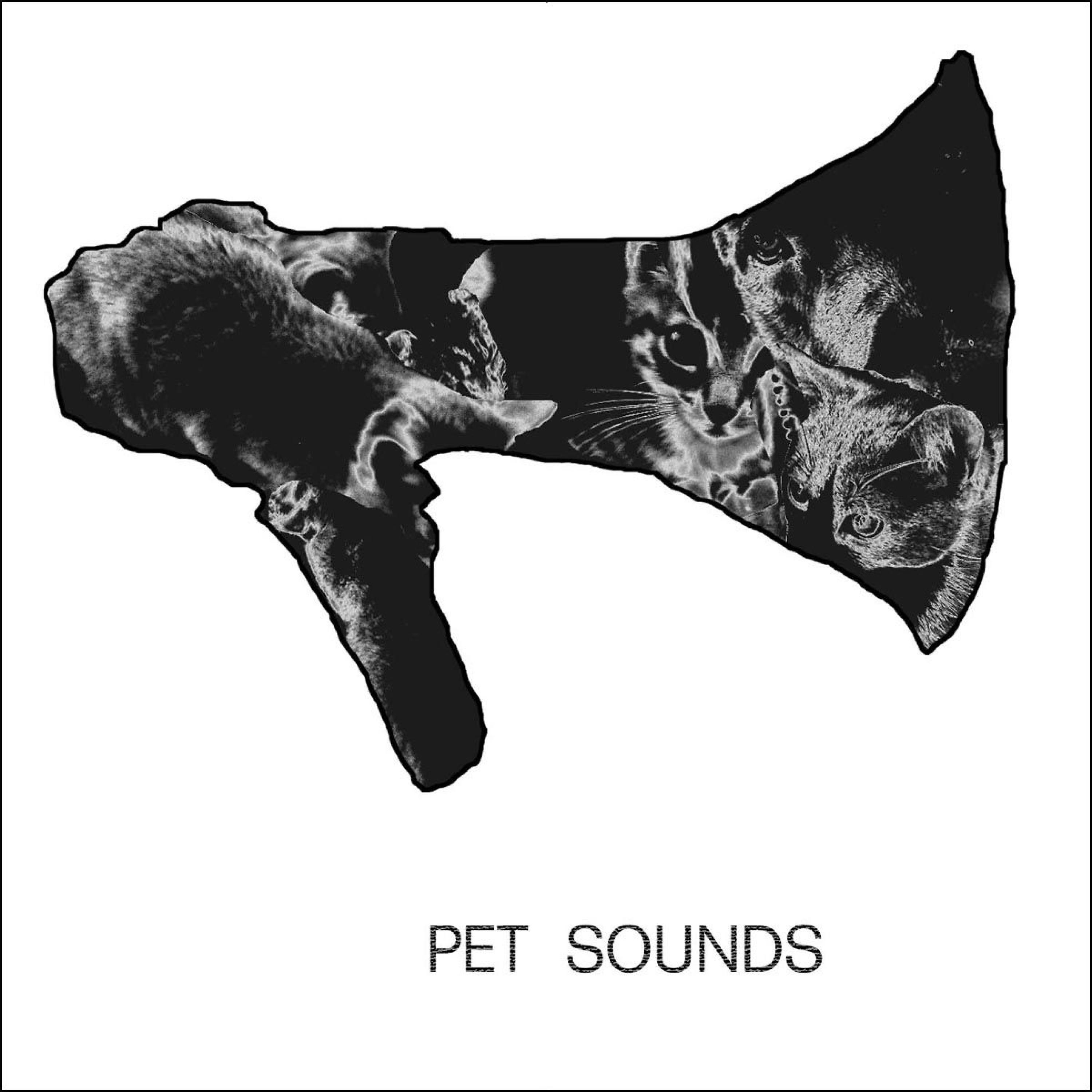 Постер альбома Pet Sounds