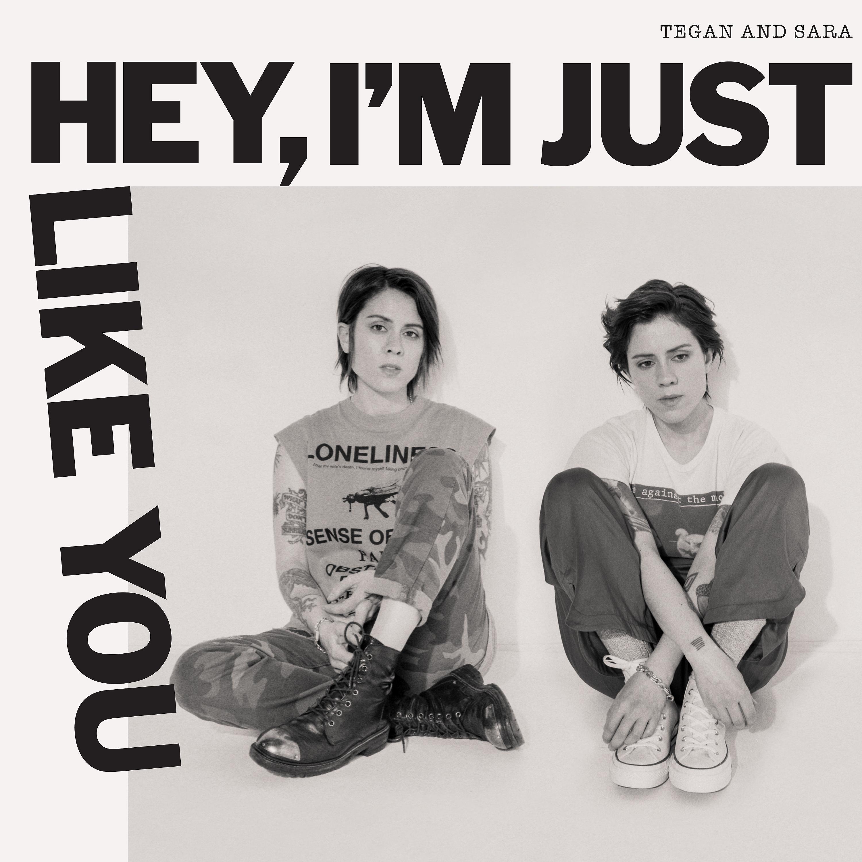 Постер альбома Hey, I'm Just like You