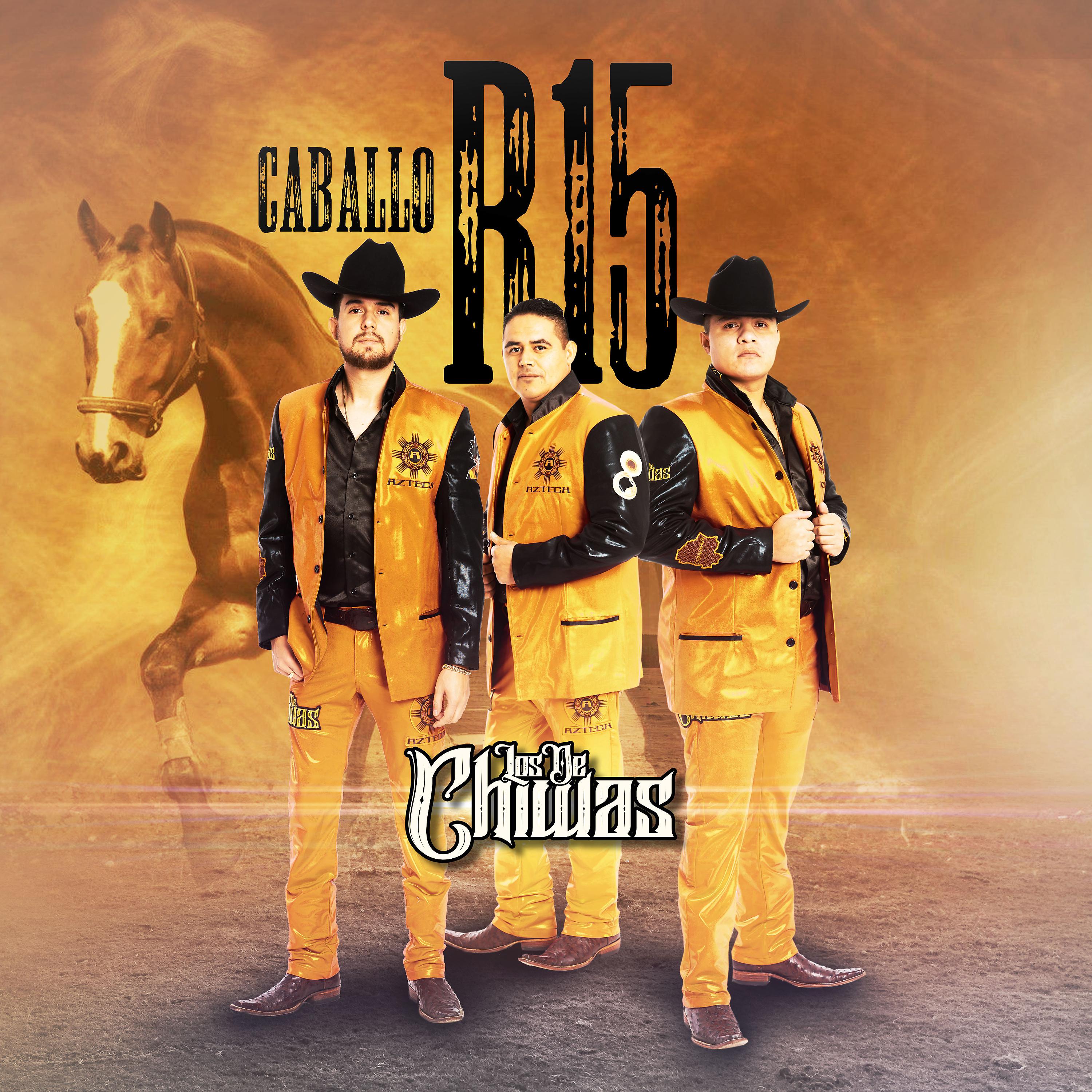 Постер альбома Caballo R15