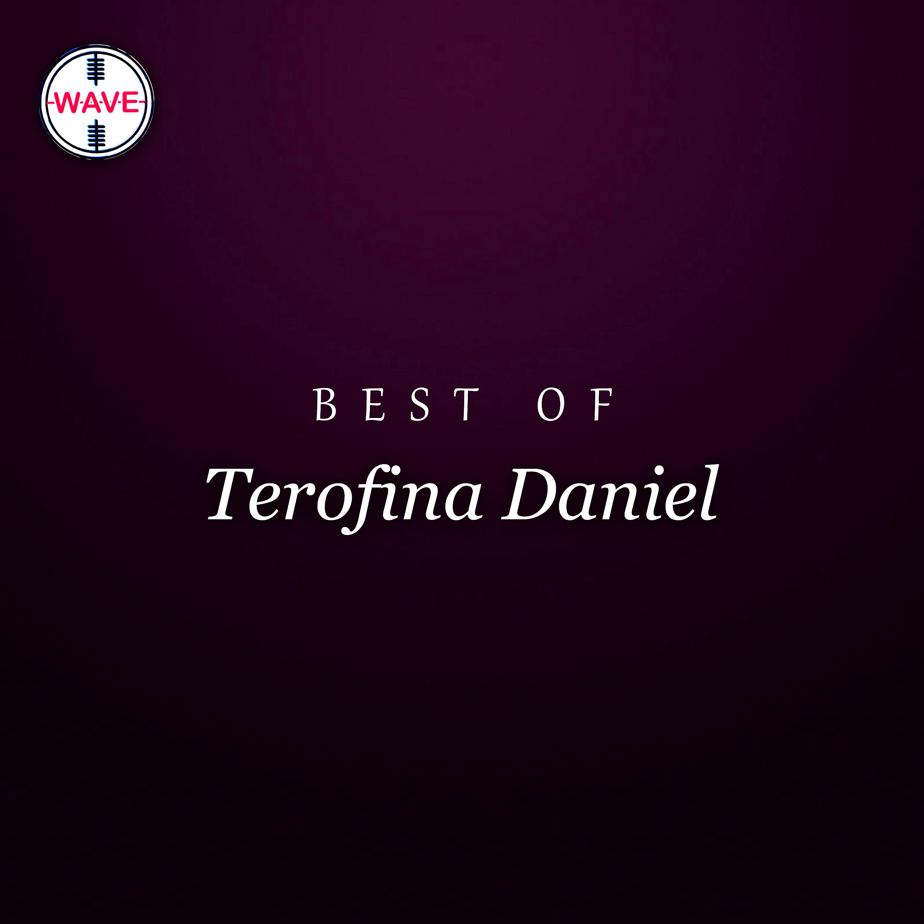 Постер альбома Best Of Terofina Daniel