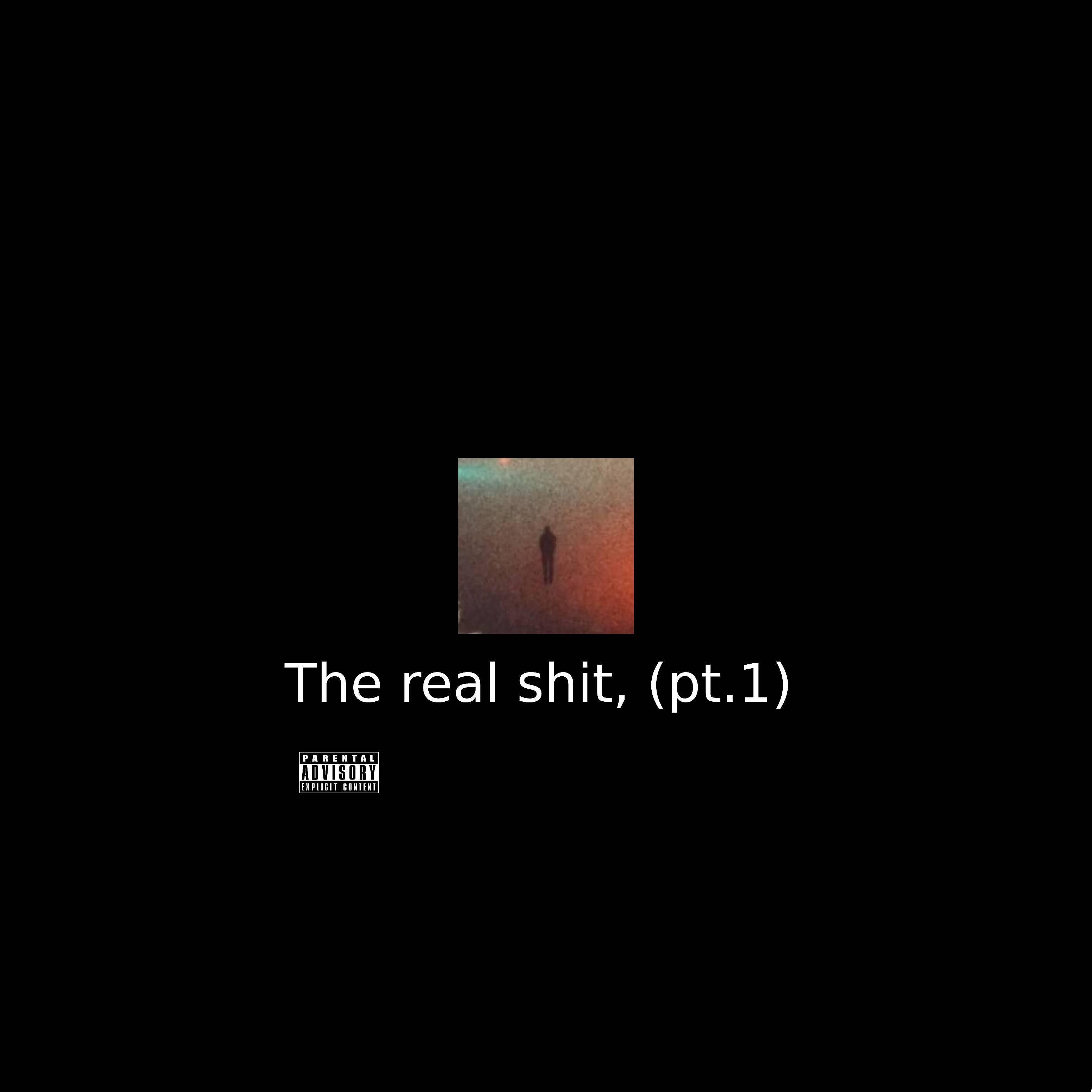 Постер альбома The Real Shit, Pt. 1