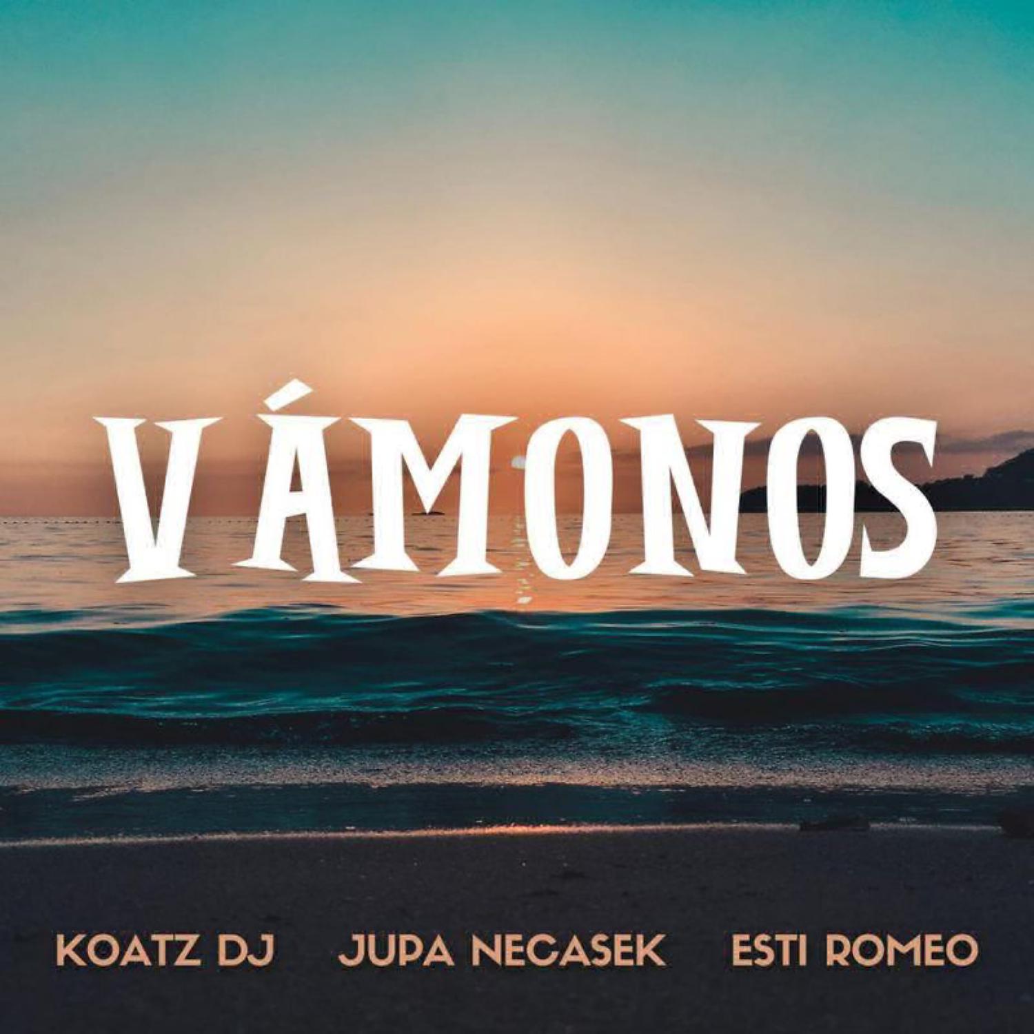 Постер альбома Vamonos (Remix)