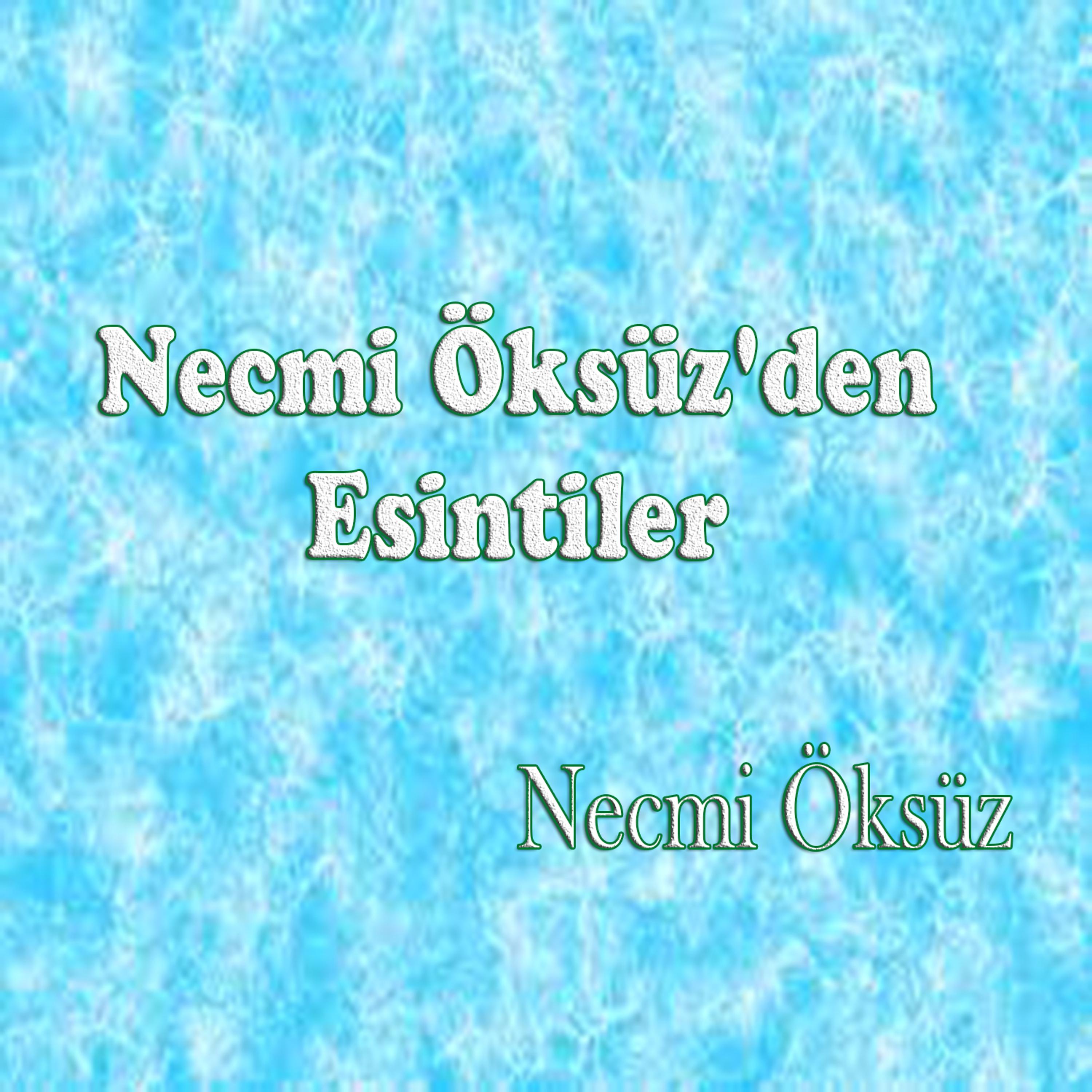 Постер альбома Necmi Öksüz'den Esintiler