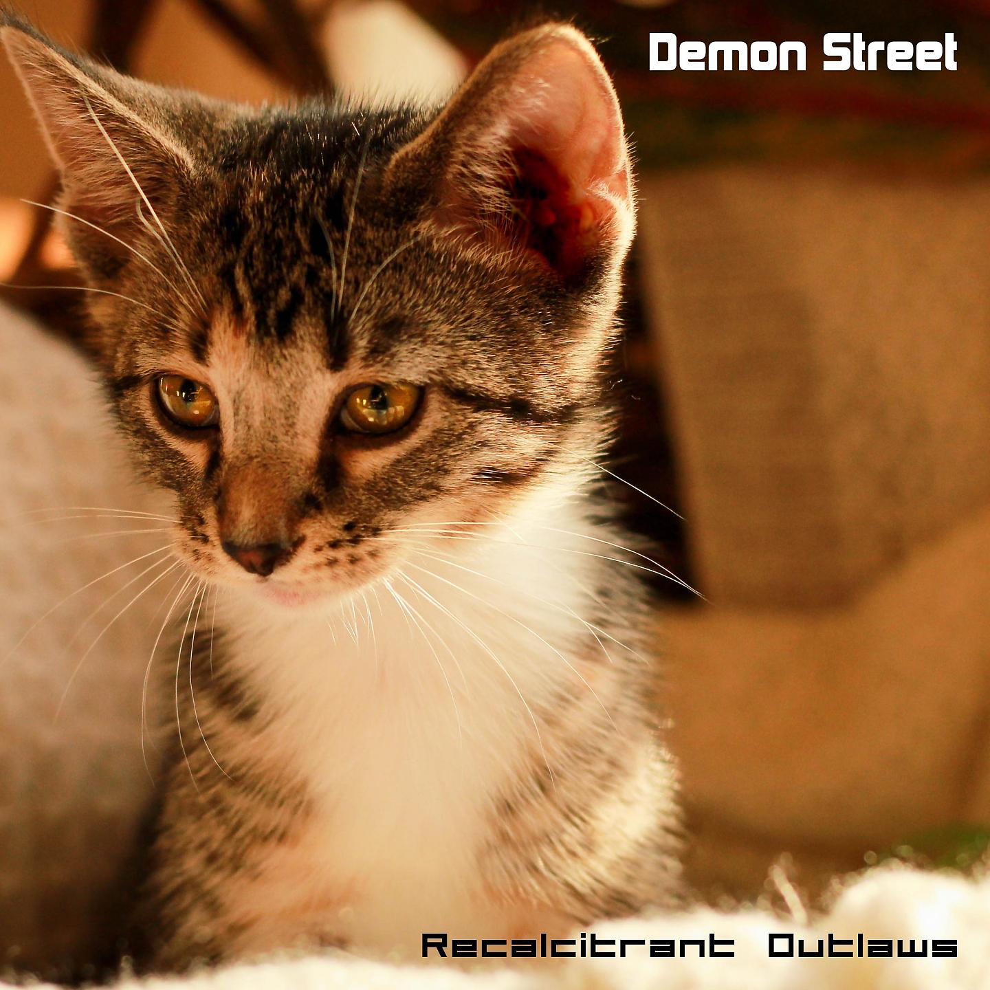 Постер альбома Demon Street