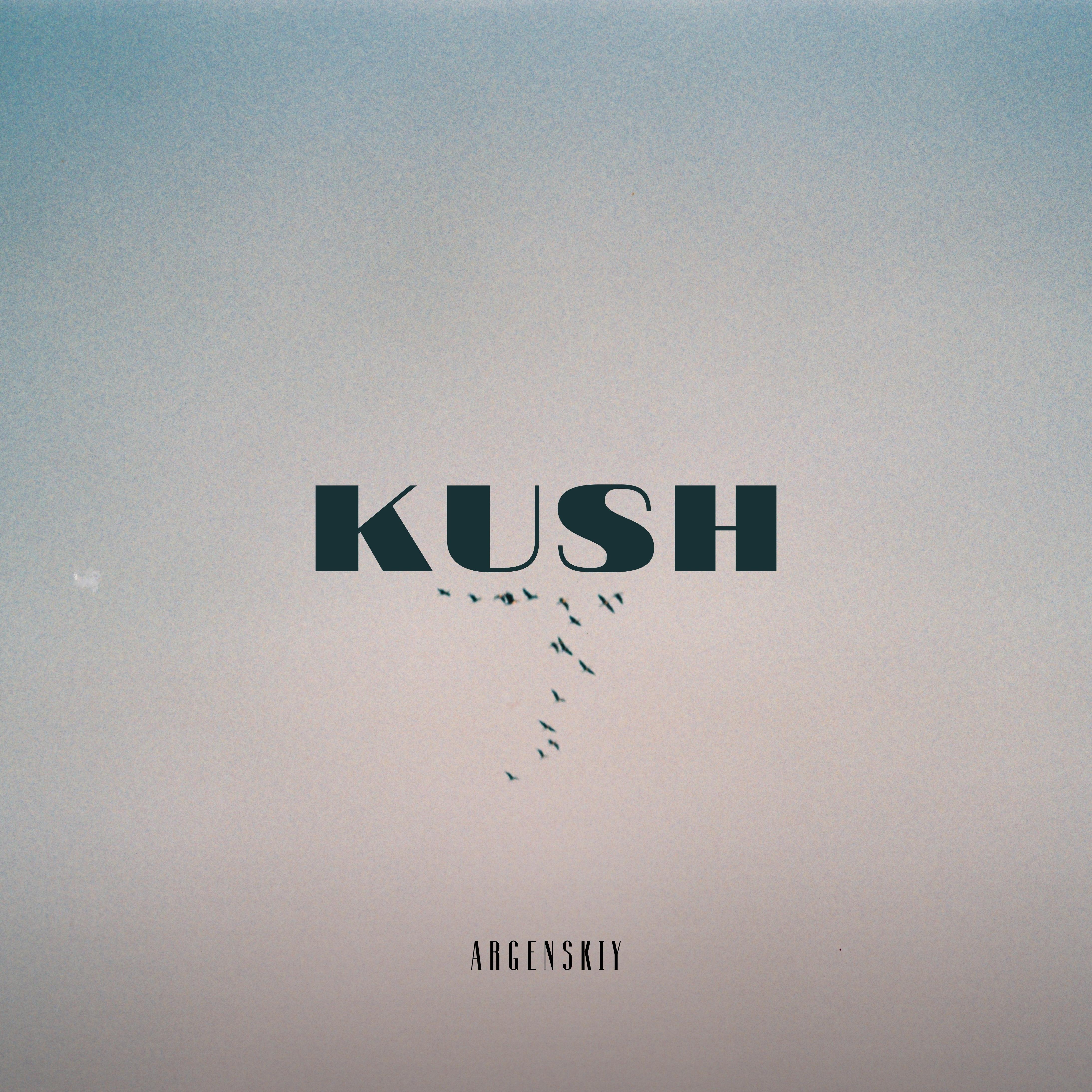 Постер альбома Kush