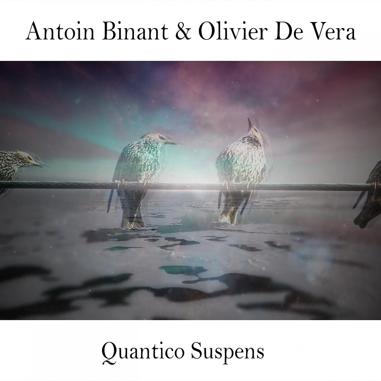 Постер альбома Quantico Suspens