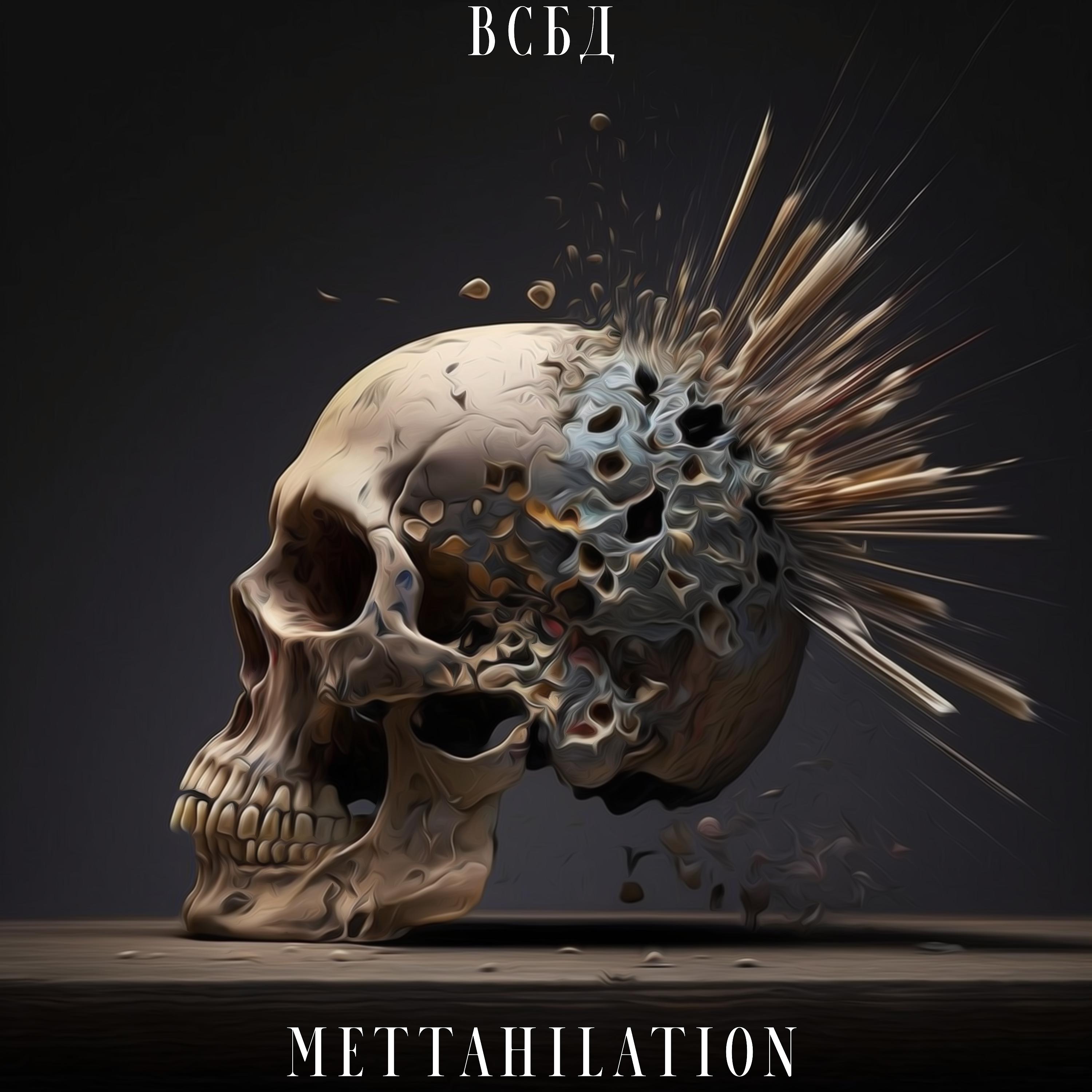 Постер альбома Mettahilation