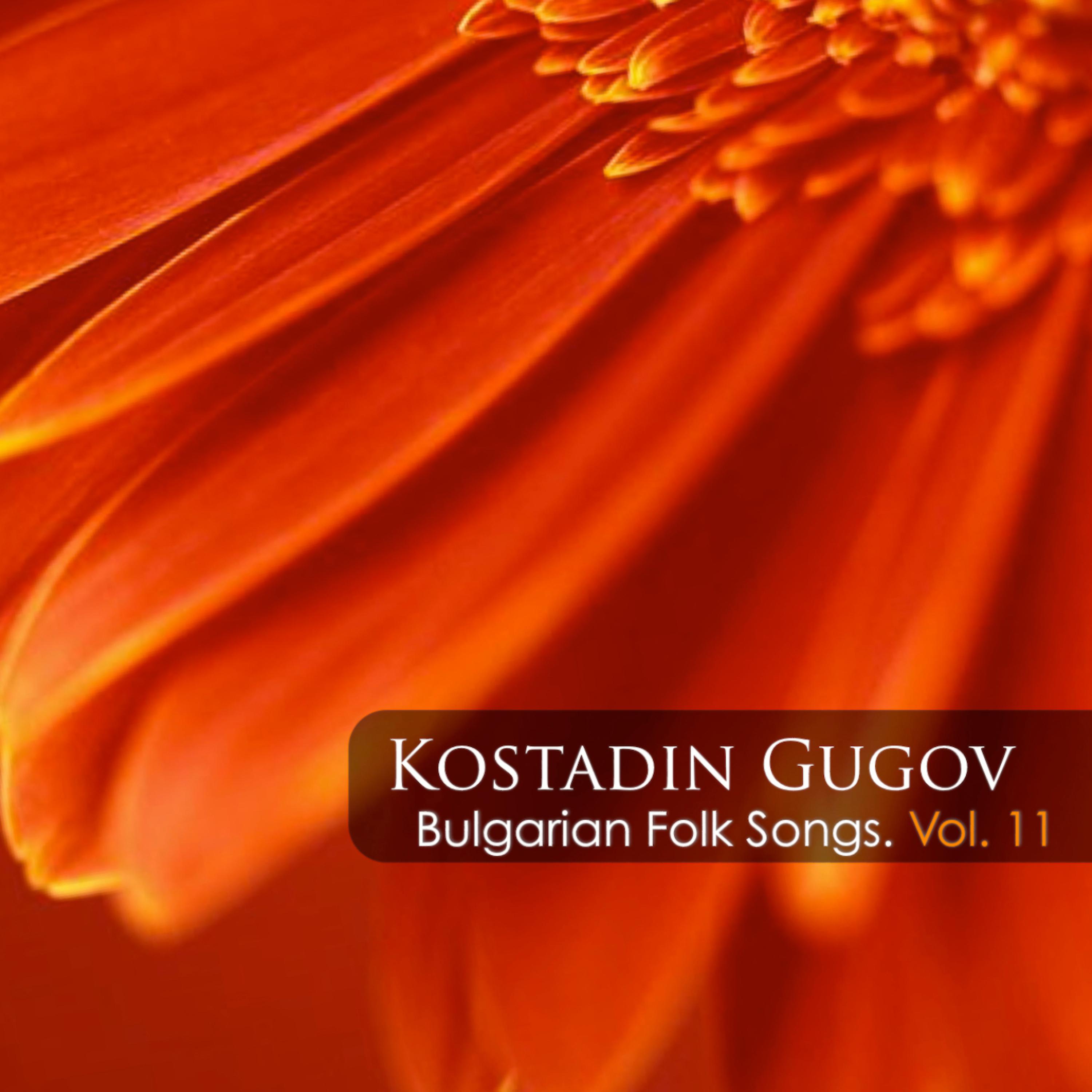 Постер альбома Kostadin Gugov: Bulgarian Folk Songs, Vol. 11