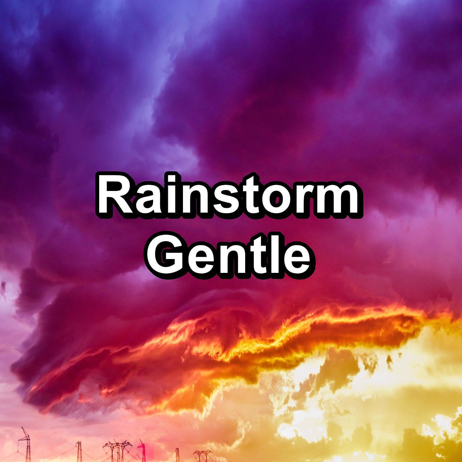 Постер альбома Rainstorm Gentle