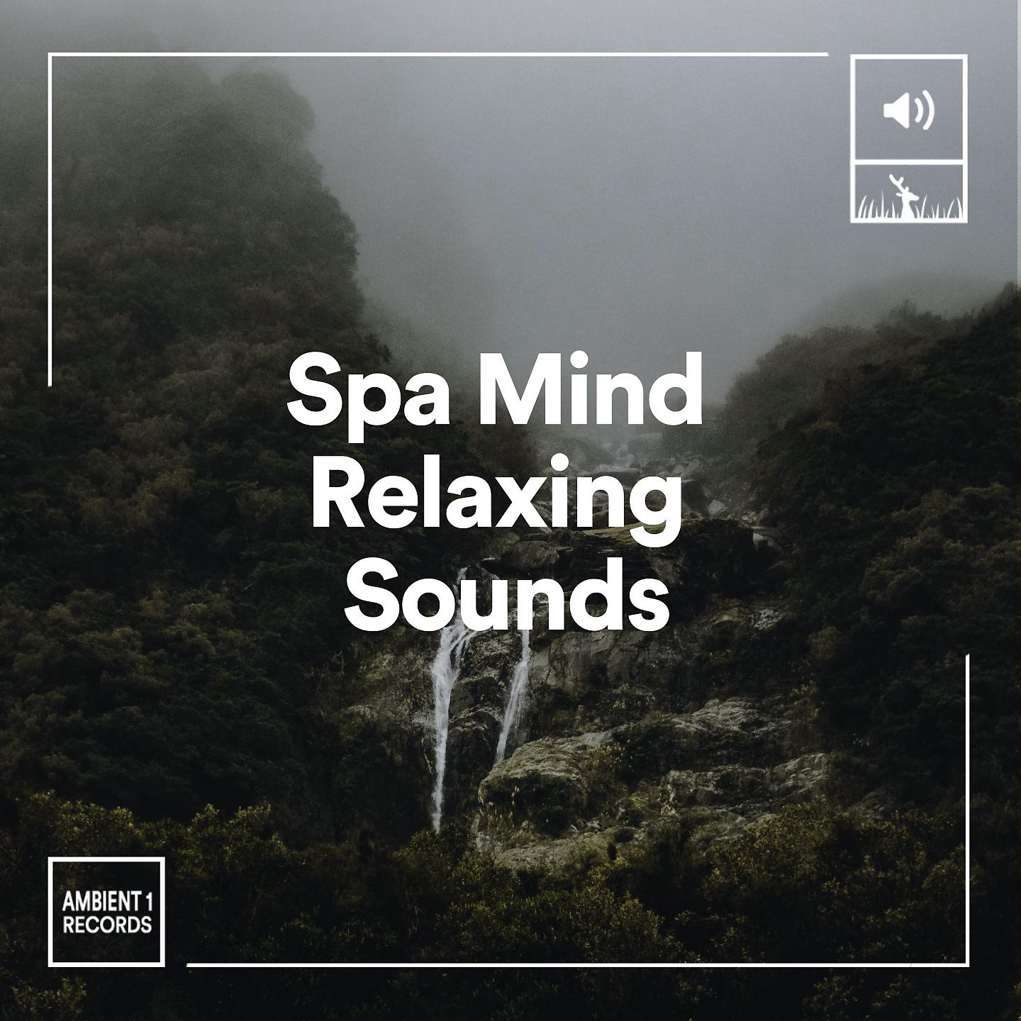 Постер альбома Spa Mind Relaxing Sounds