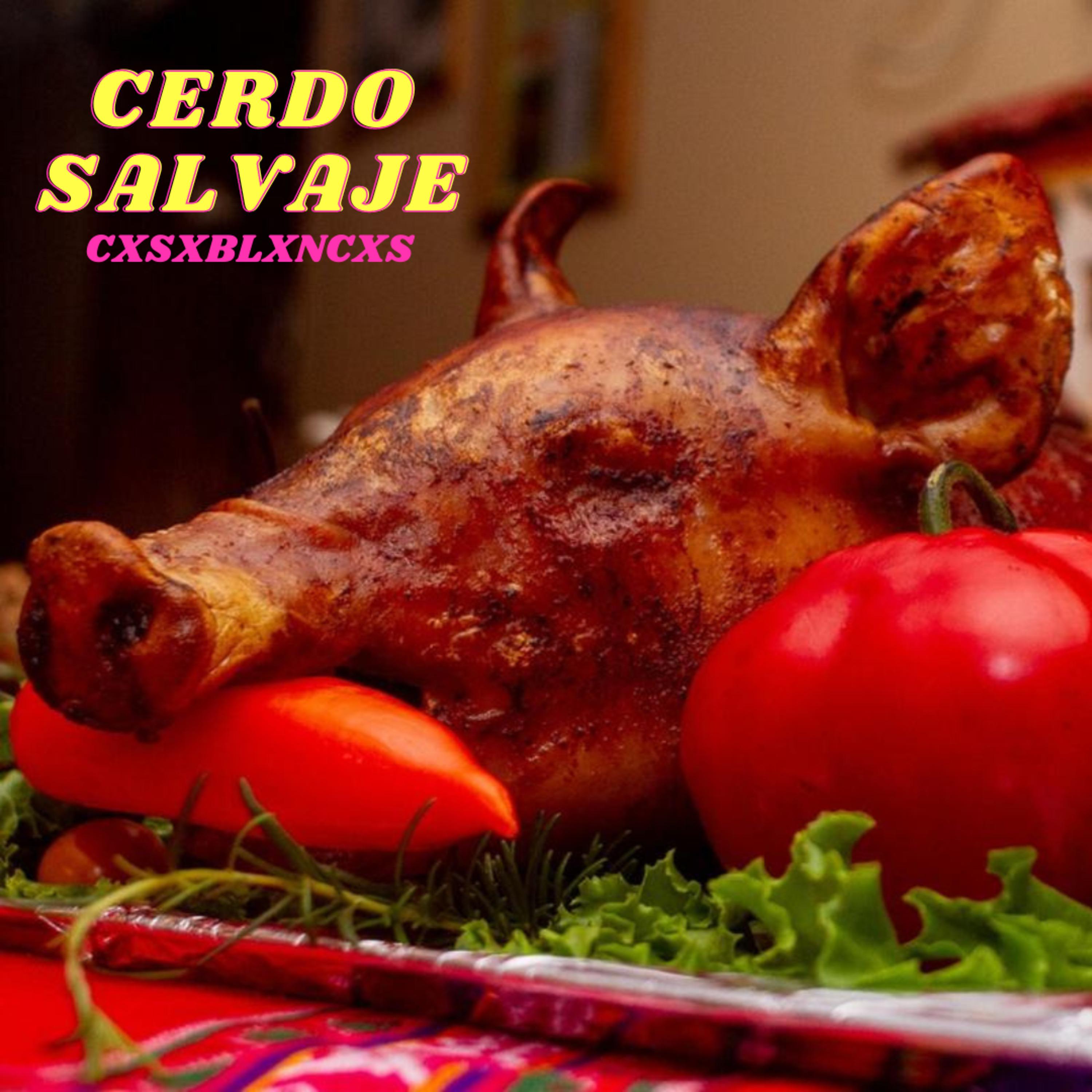Постер альбома Cerdo Salvaje