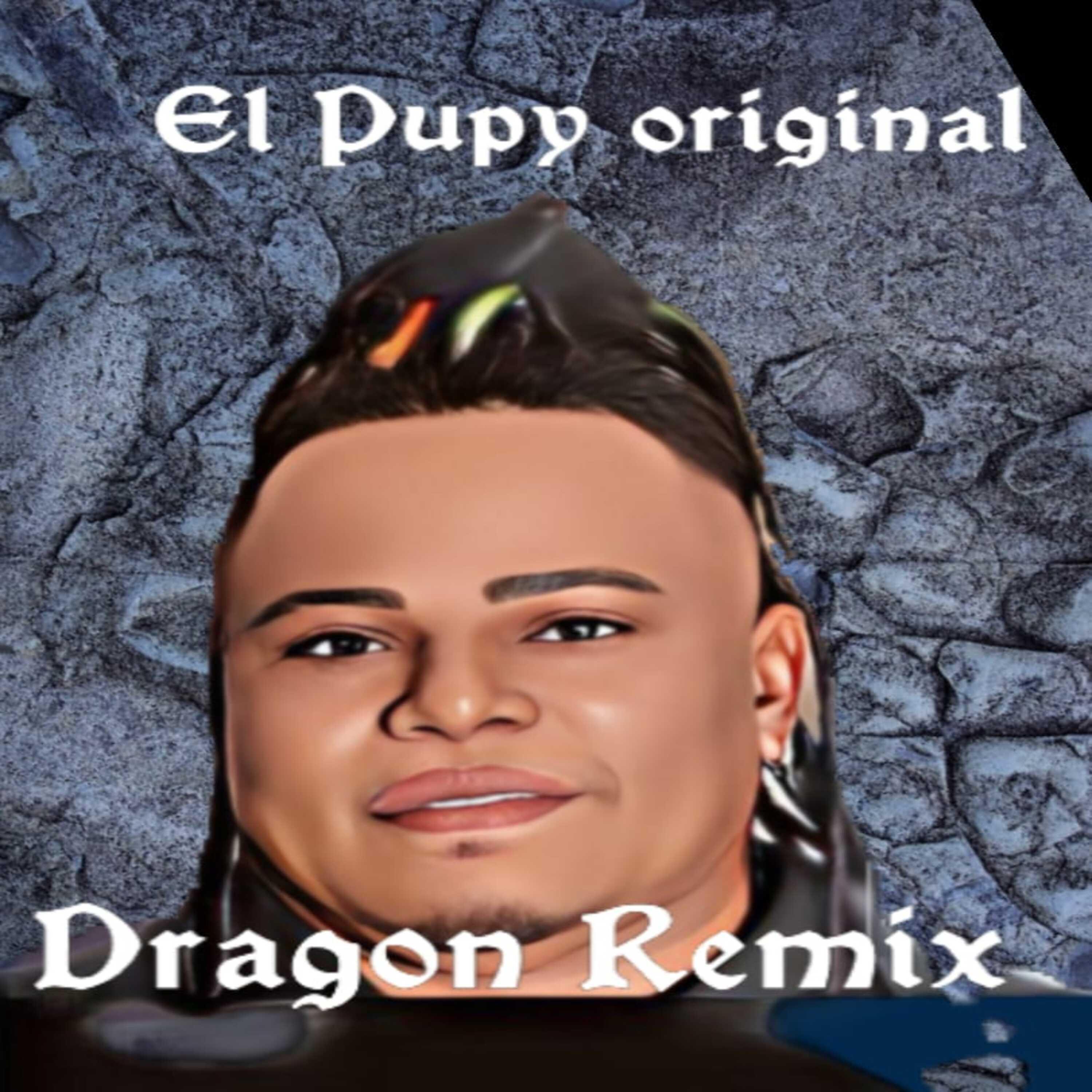 Постер альбома Dragon Remix