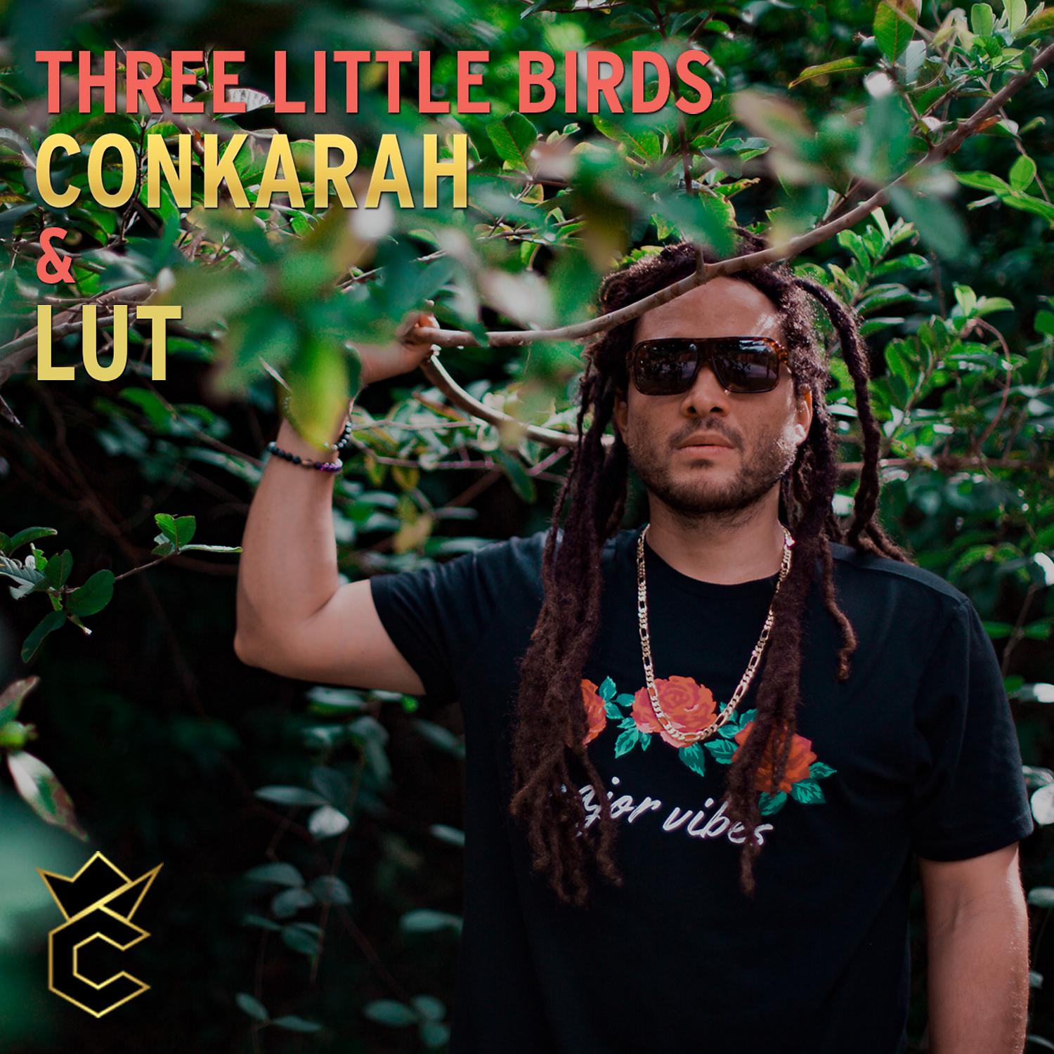Постер альбома Three Little Birds