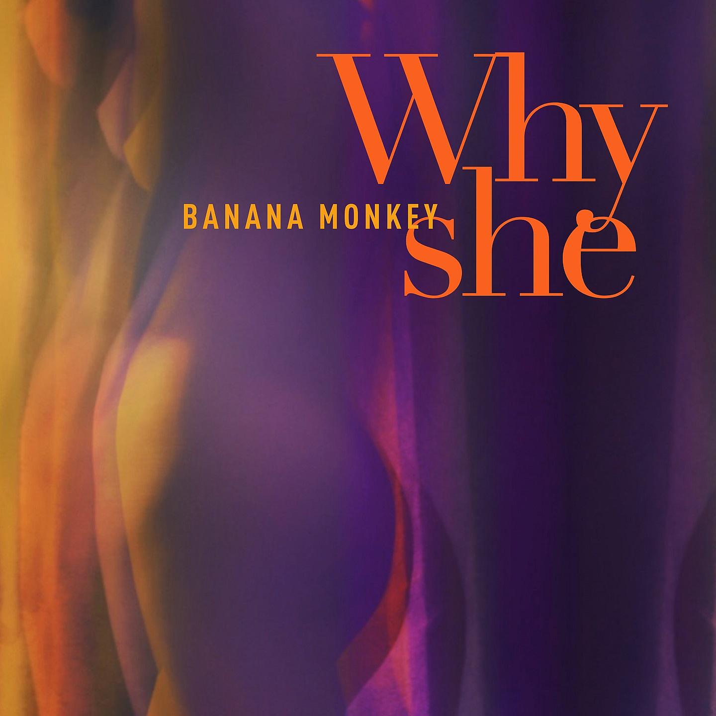 Постер альбома Why She