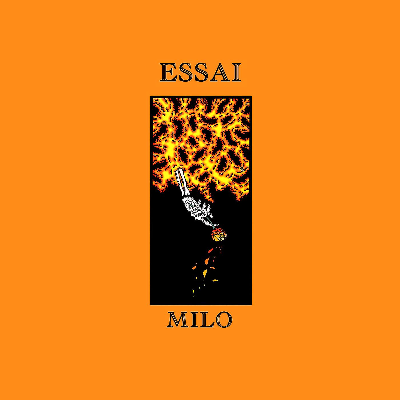 Постер альбома Essai