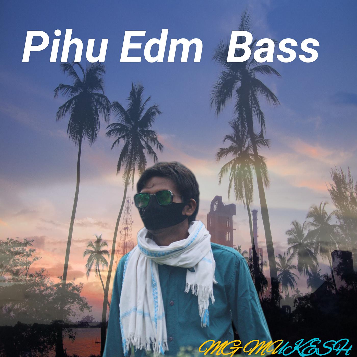 Постер альбома Pihu Edm Bass