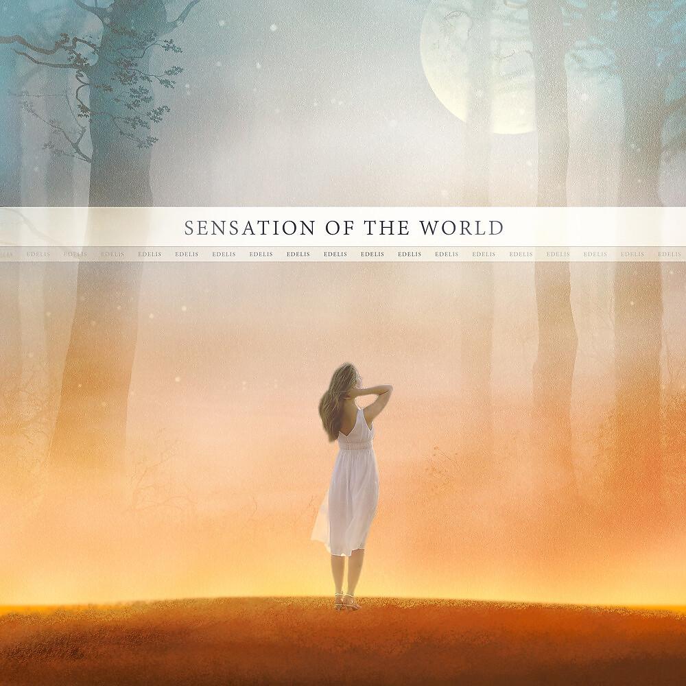 Постер альбома Sensation of the World