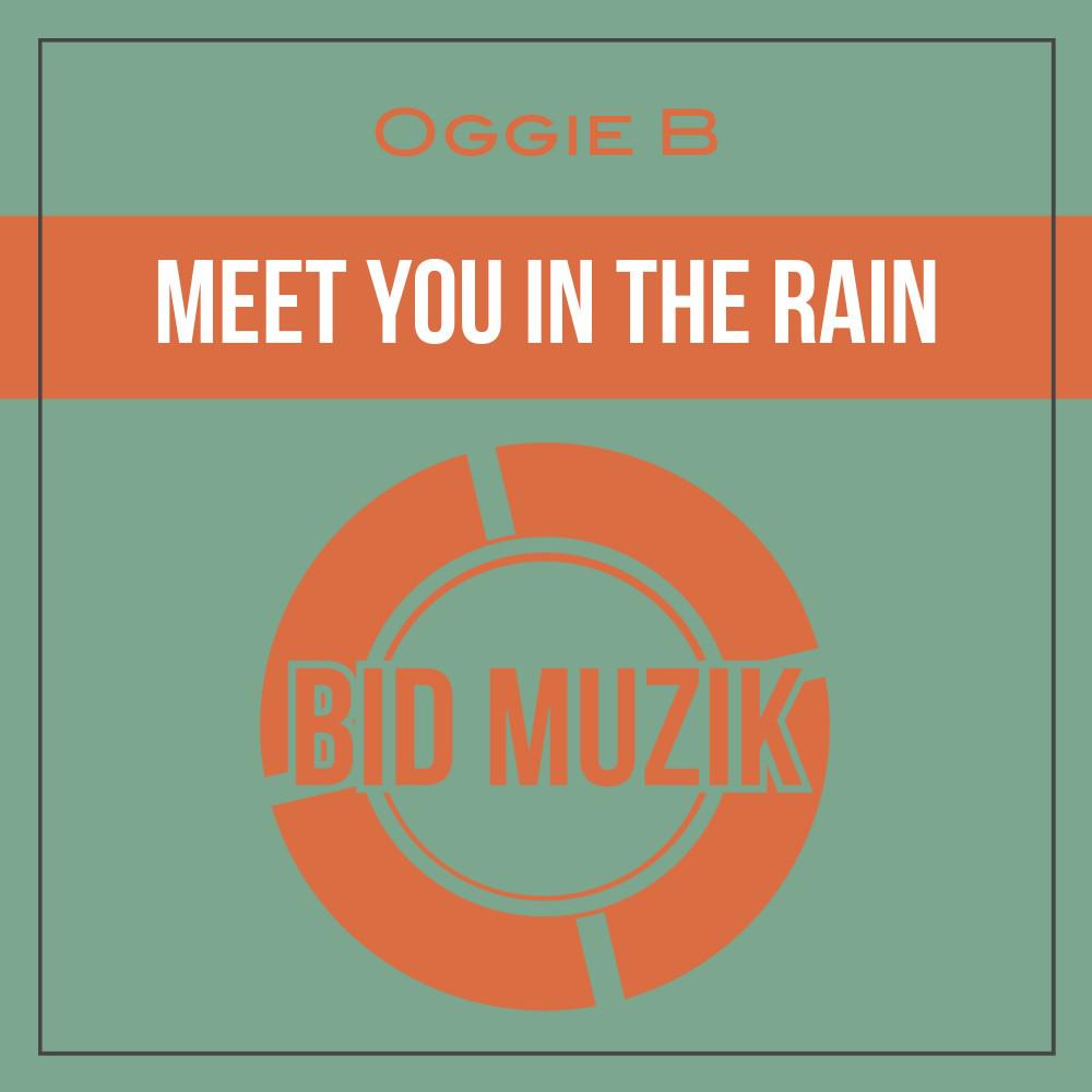 Постер альбома Meet You in the Rain