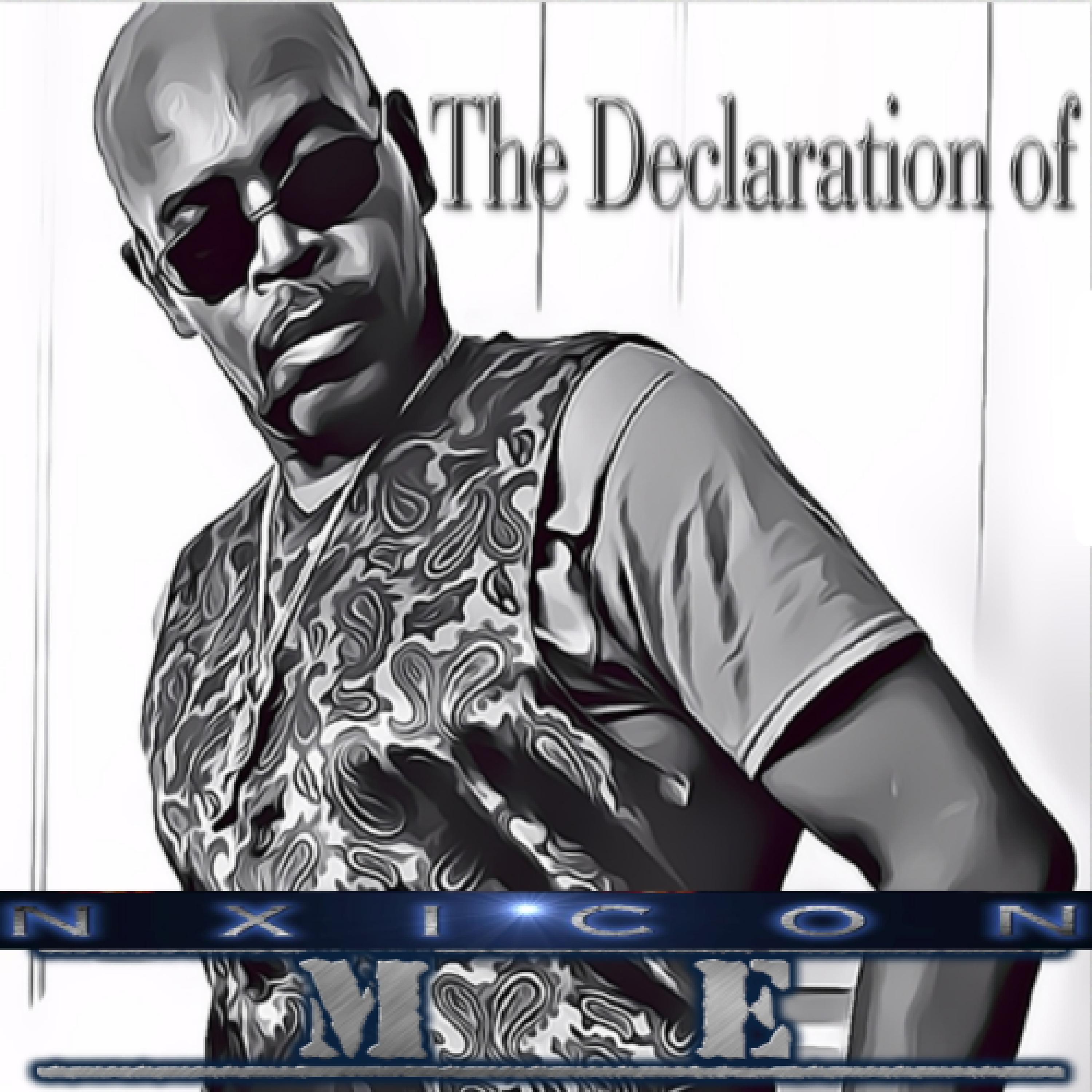Постер альбома The Declaration of Me