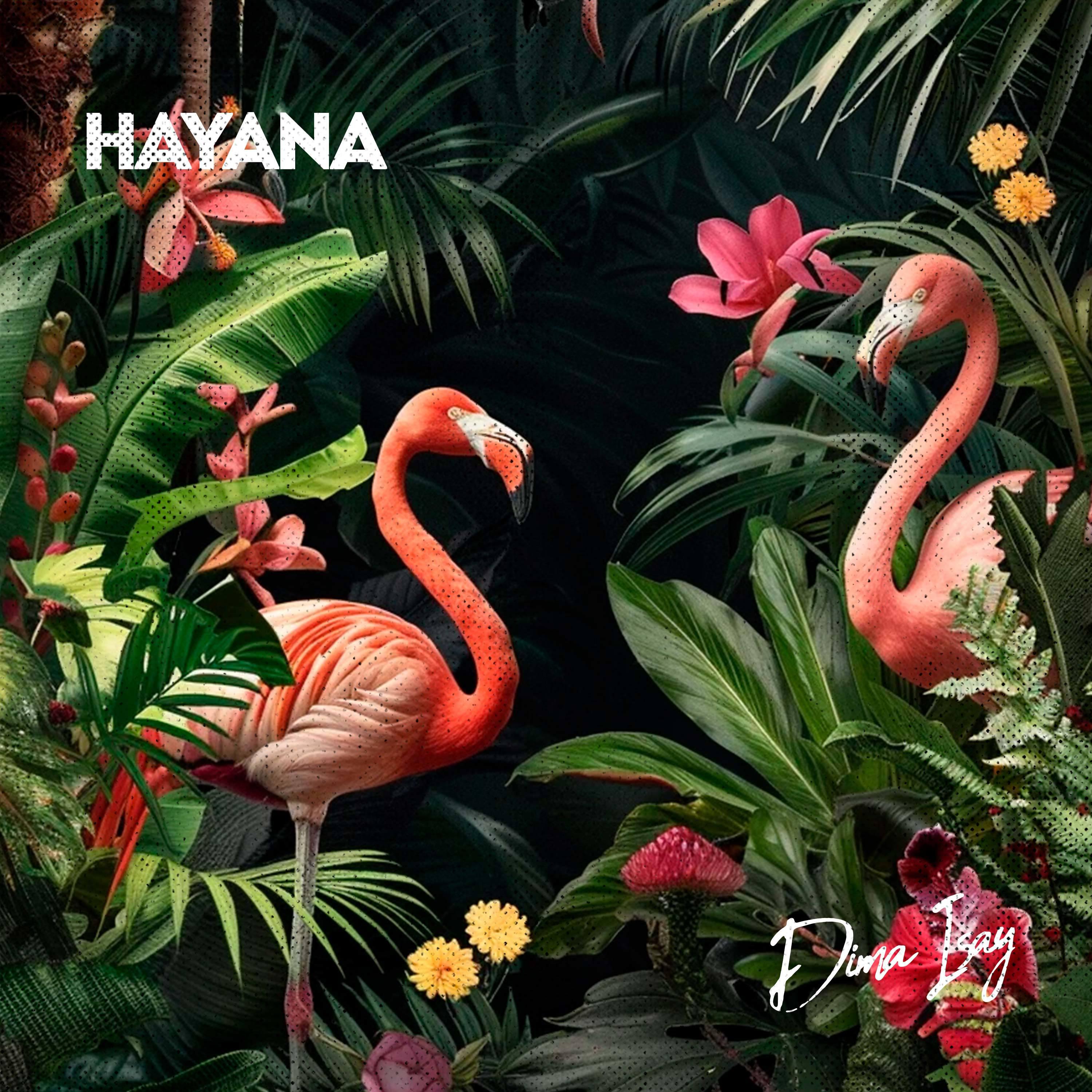 Постер альбома Hayana