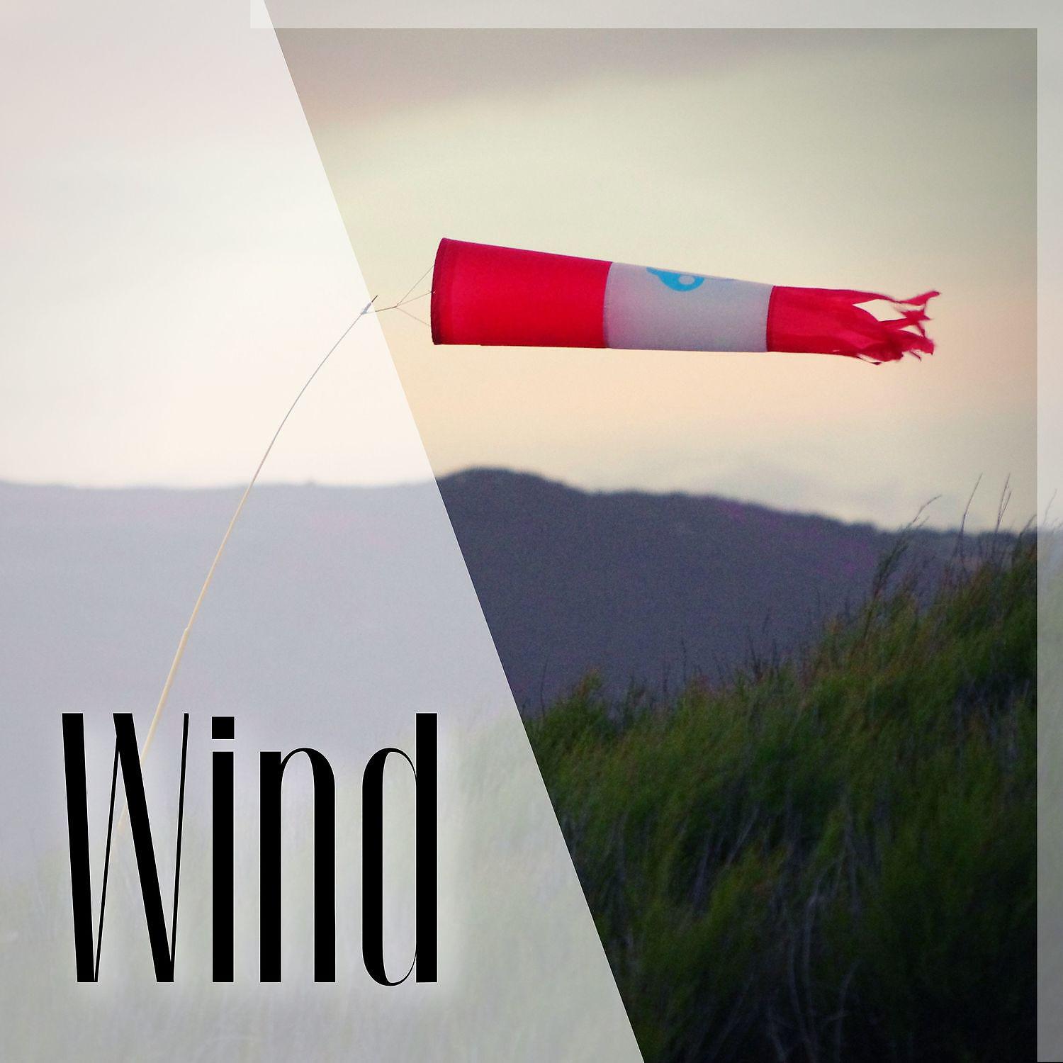 Постер альбома Wind White Noise Sounds & Noises