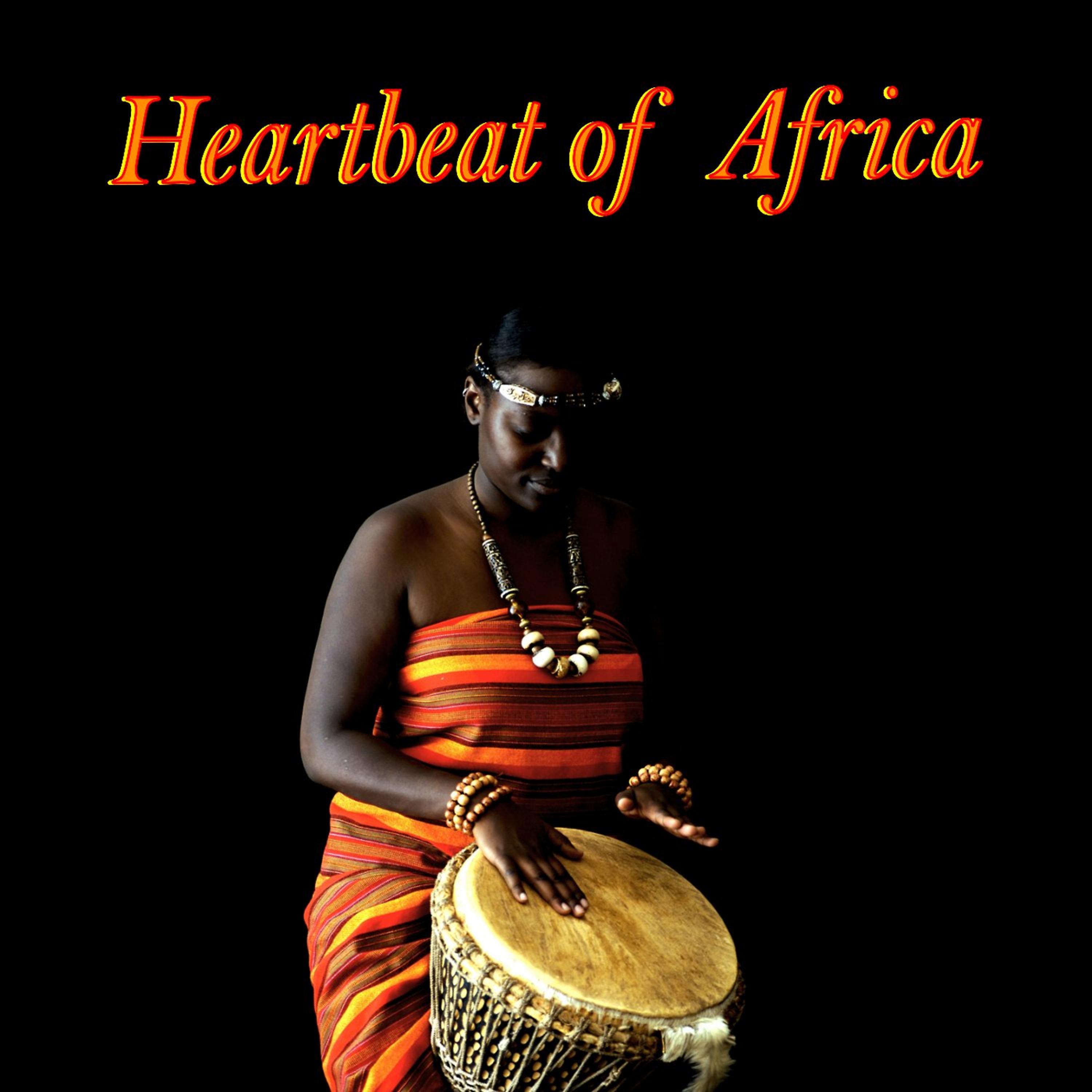 Постер альбома Heartbeat of Africa