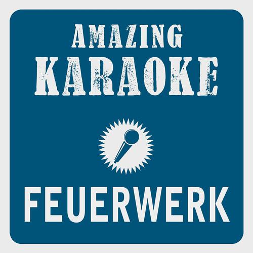 Постер альбома Feuerwerk (Karaoke Version)