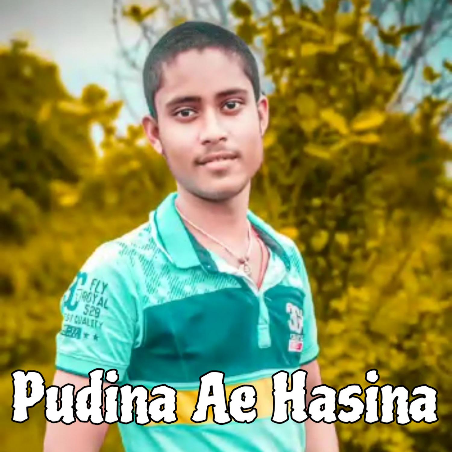 Постер альбома Pudina Ae Hasina