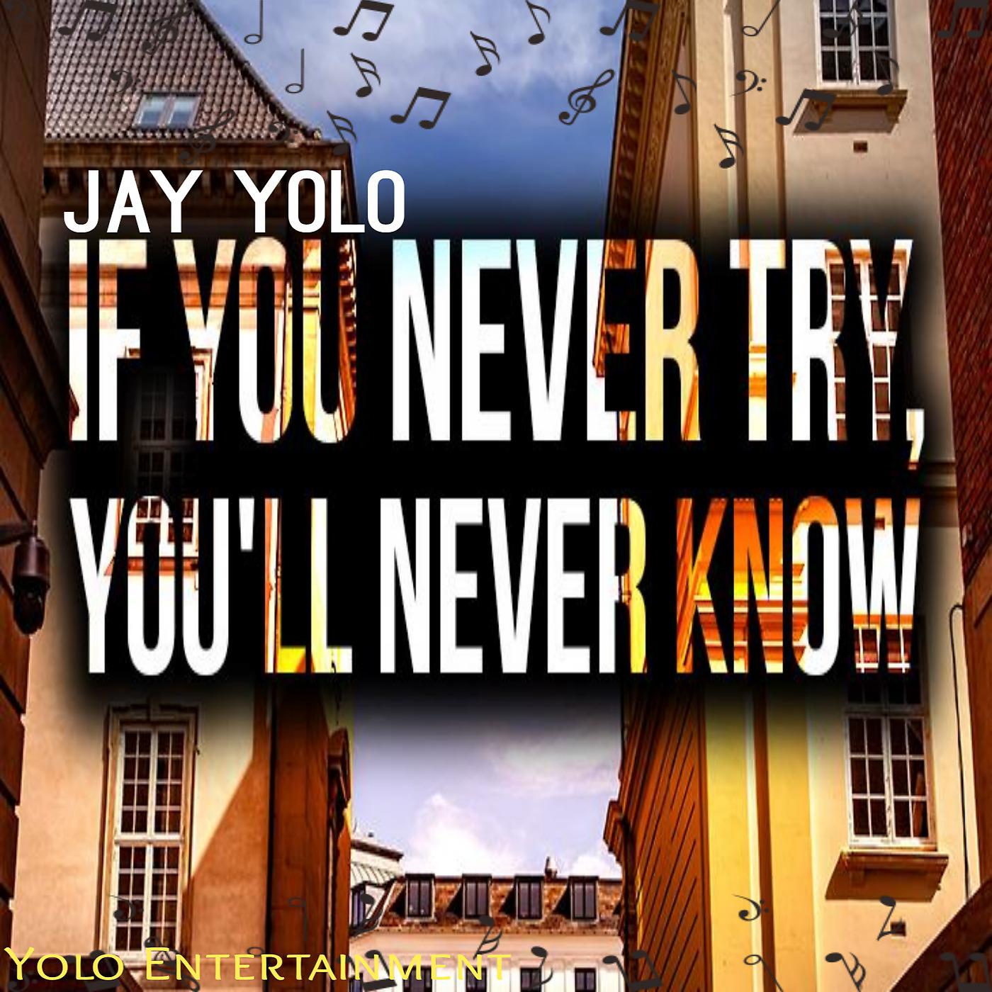 Постер альбома If You Never Try, You'll Never Know