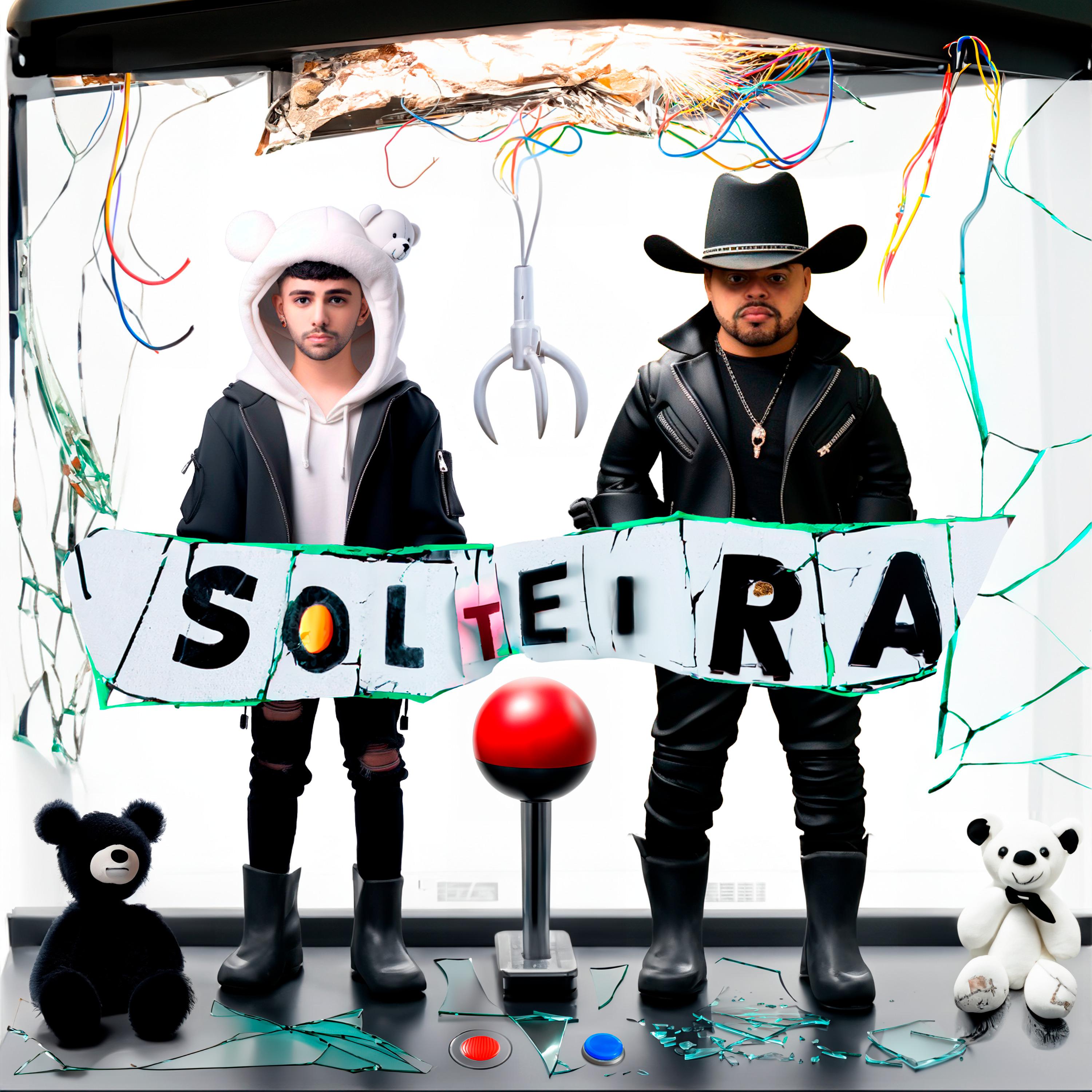 Постер альбома Solteira