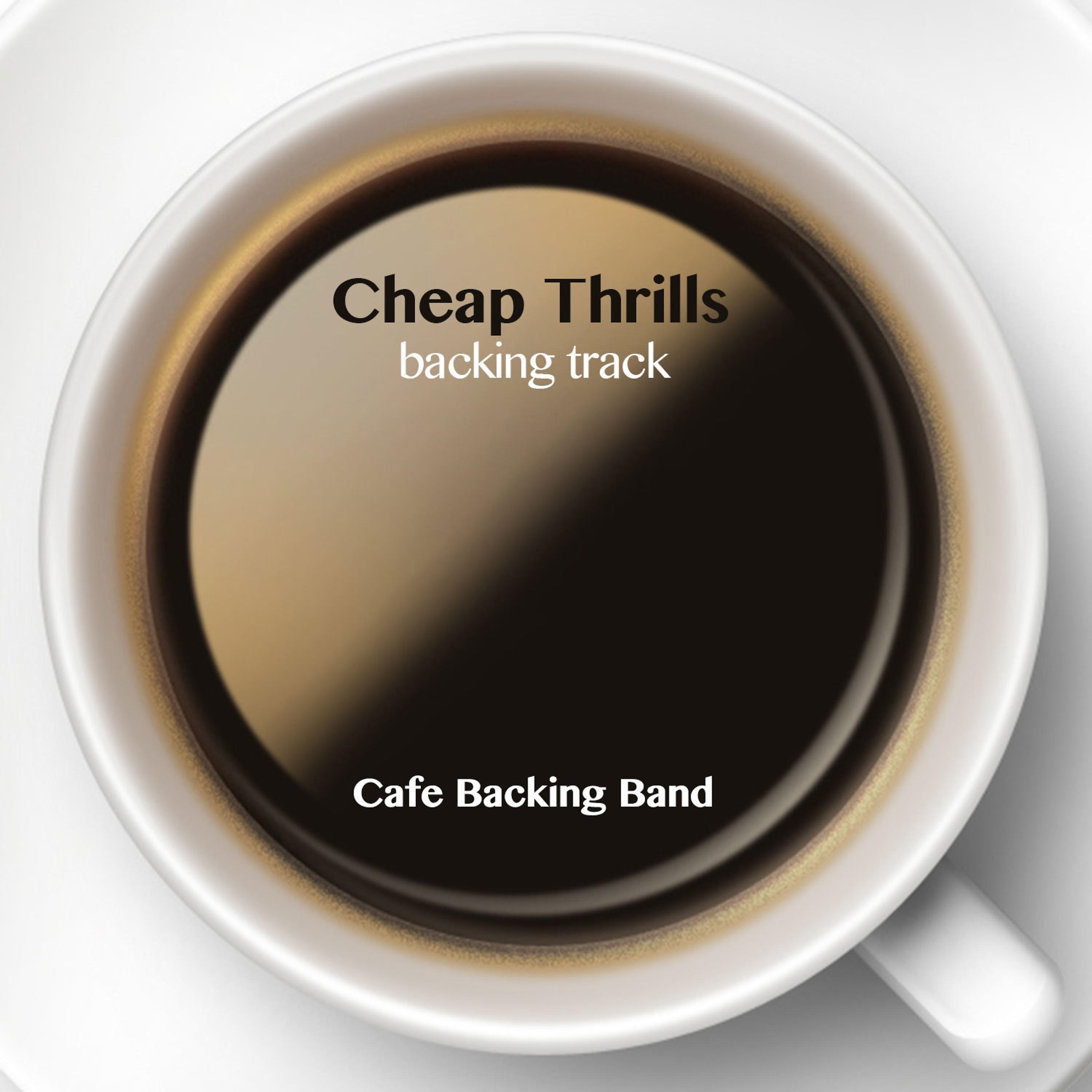 Постер альбома Cheap Thrills (Backing Track Instrumental Version)
