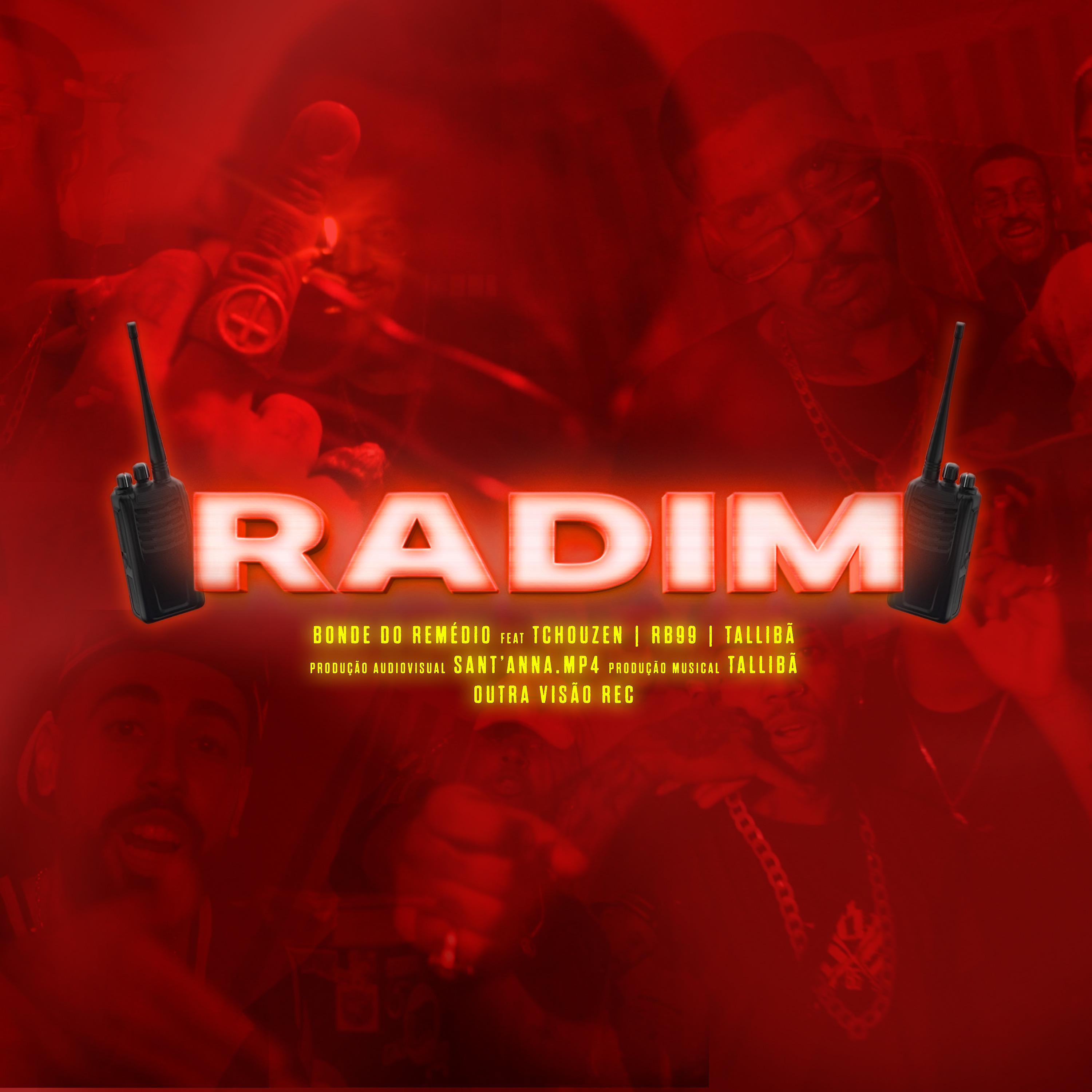 Постер альбома Radim