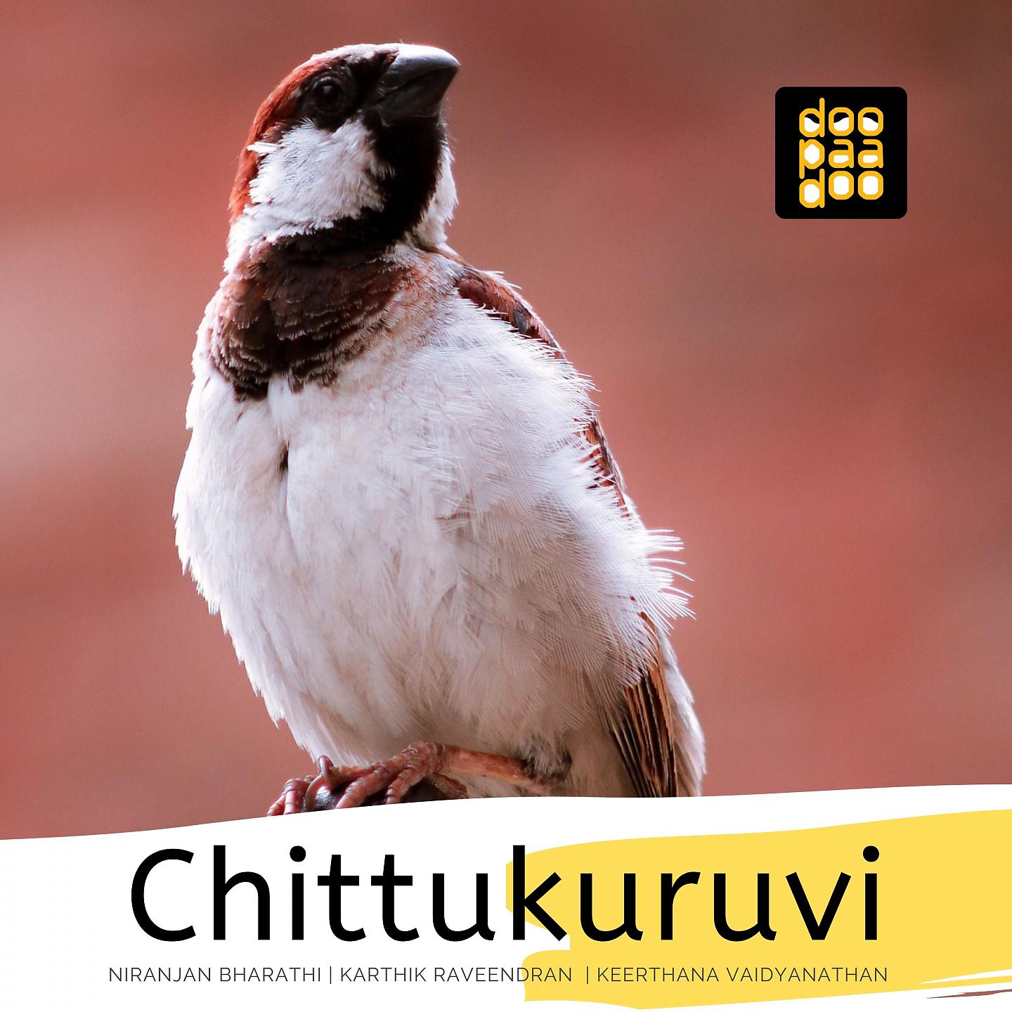 Постер альбома Chittukuruvi