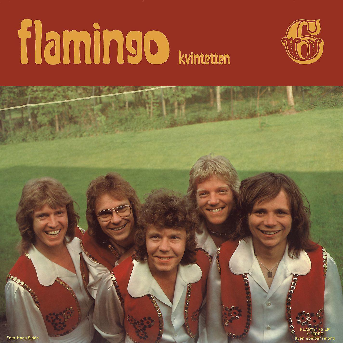 Постер альбома Flamingokvintetten 6