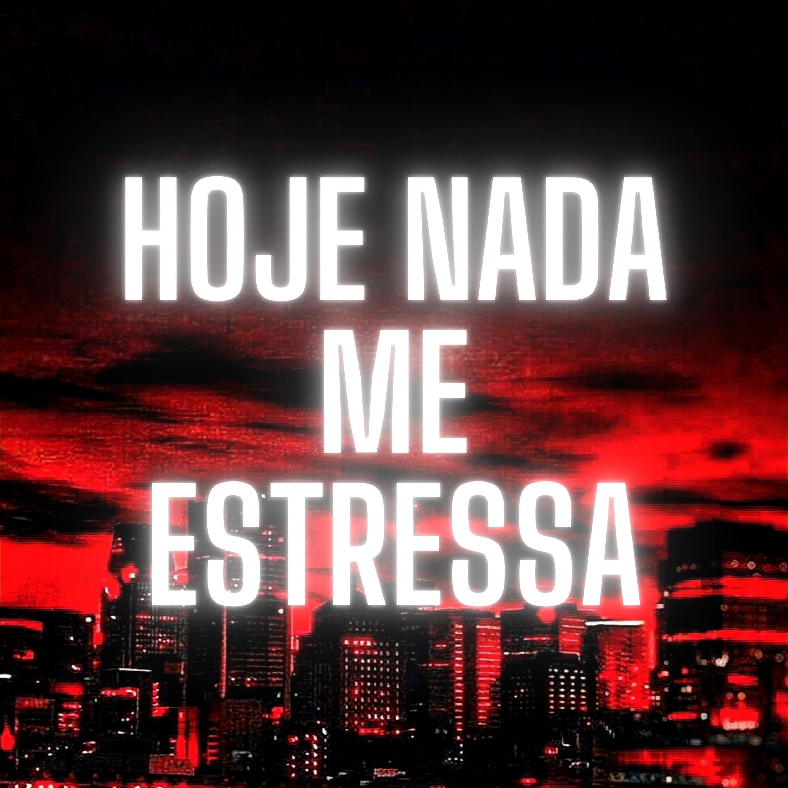Постер альбома Hoje Nada Me Estressa