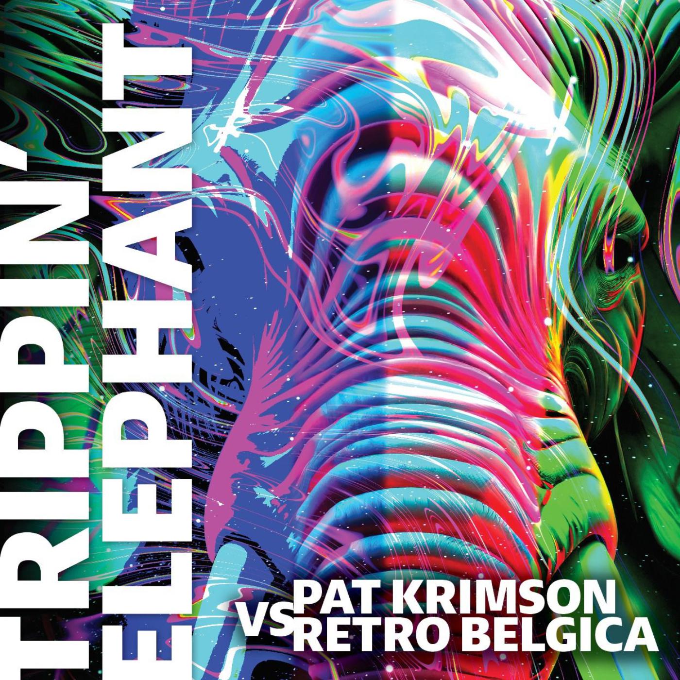Постер альбома Trippin' Elephant