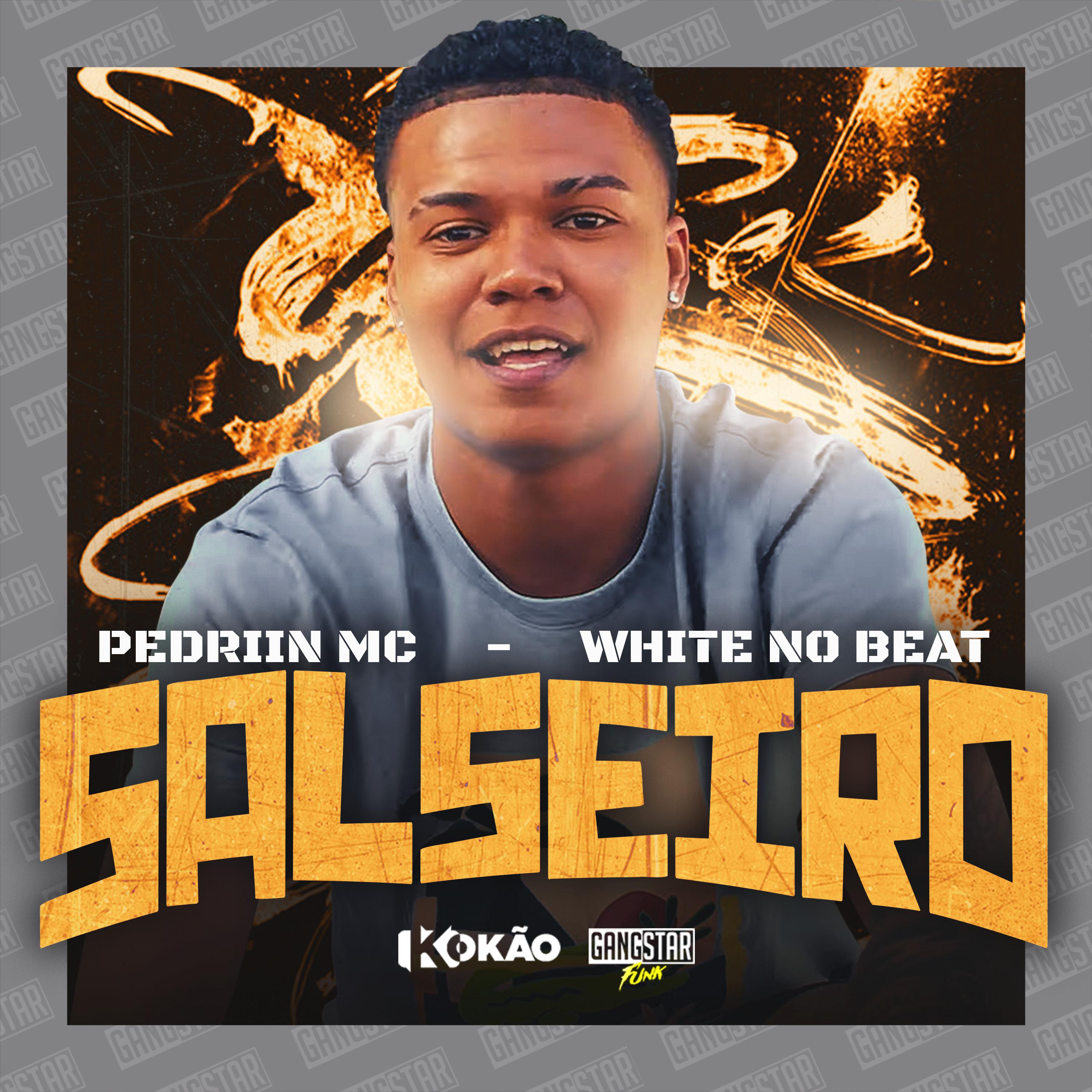 Постер альбома Salseiro