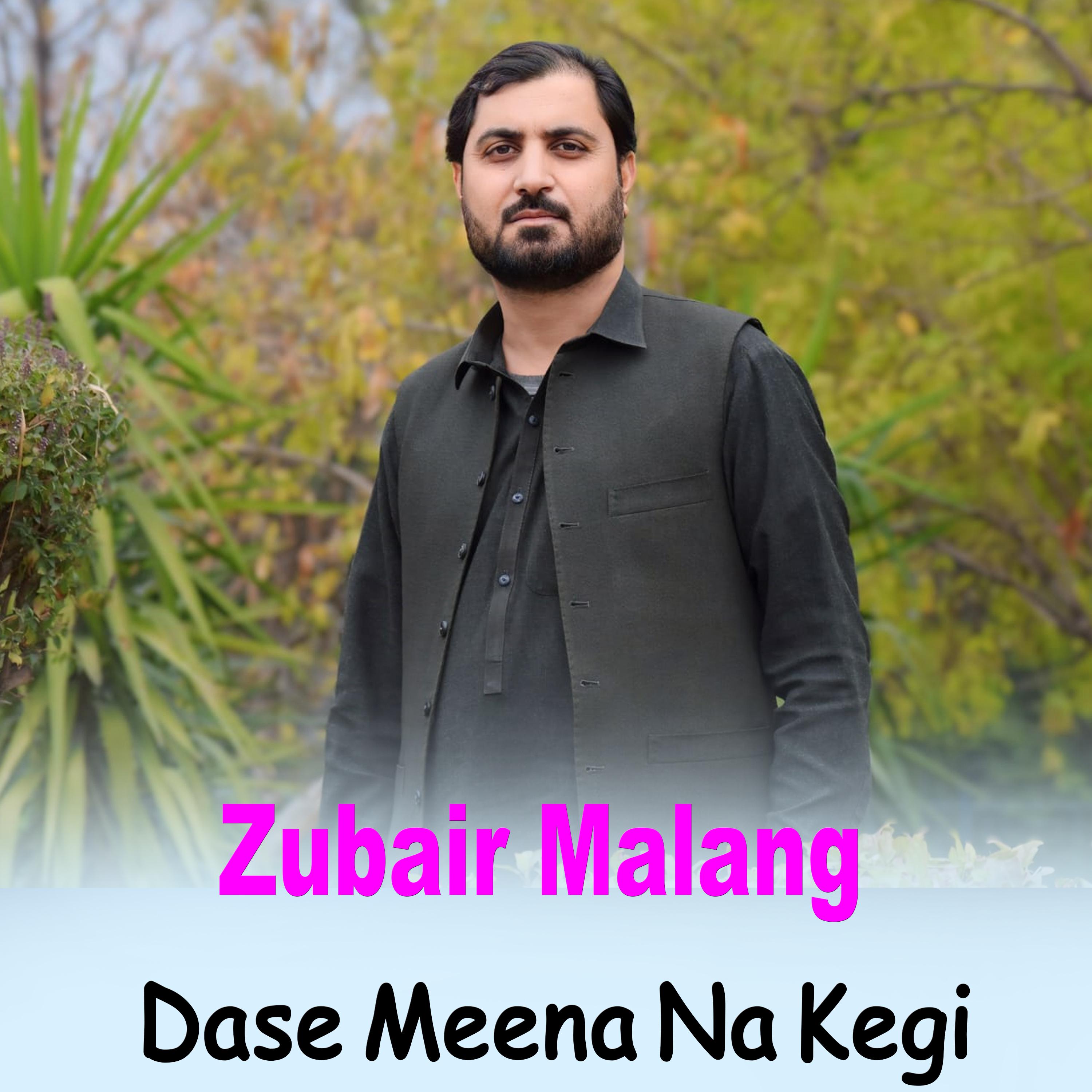 Постер альбома Dase Meena Na Kegi